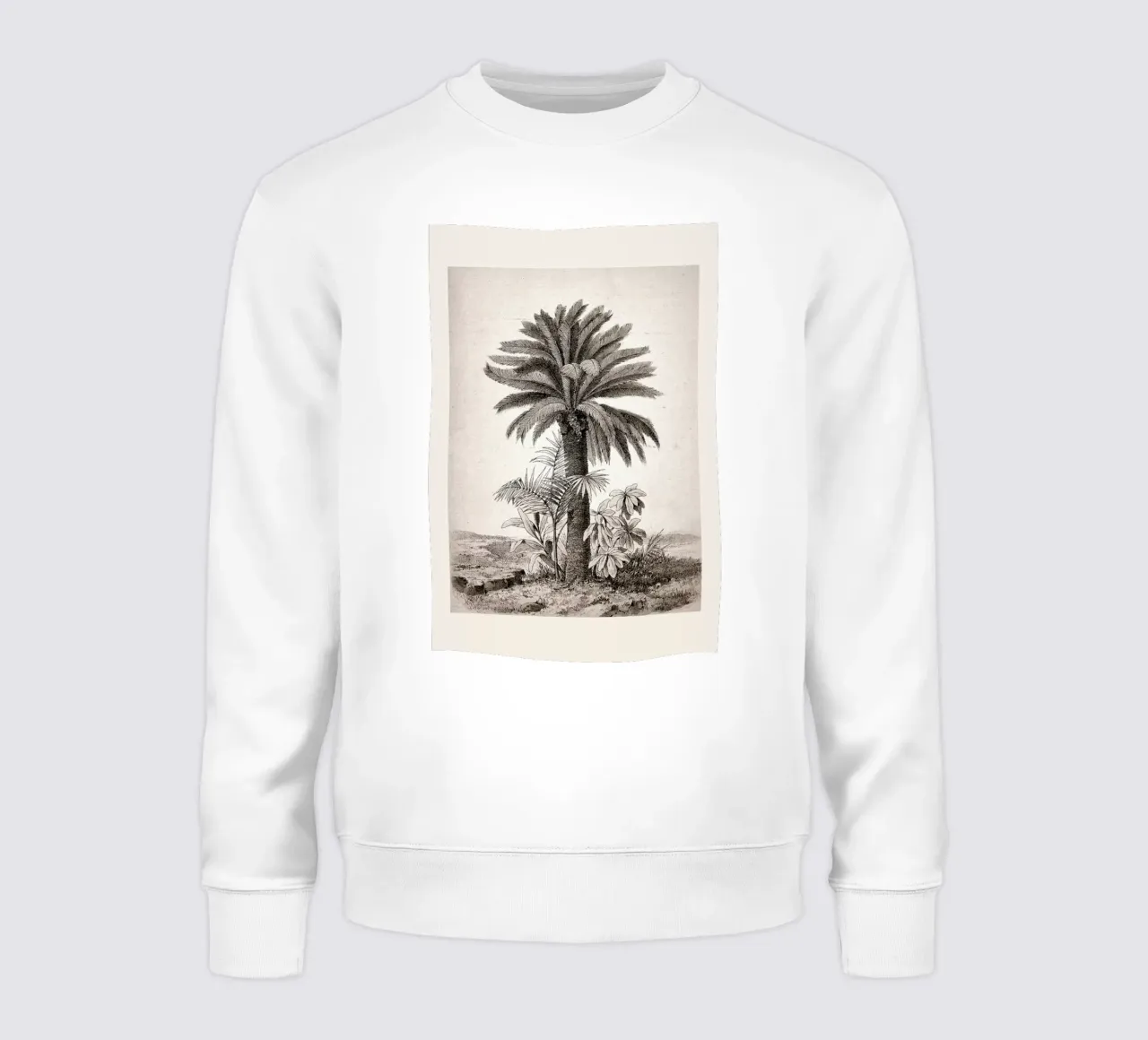Sago Palm felpa da Flora & Fauna