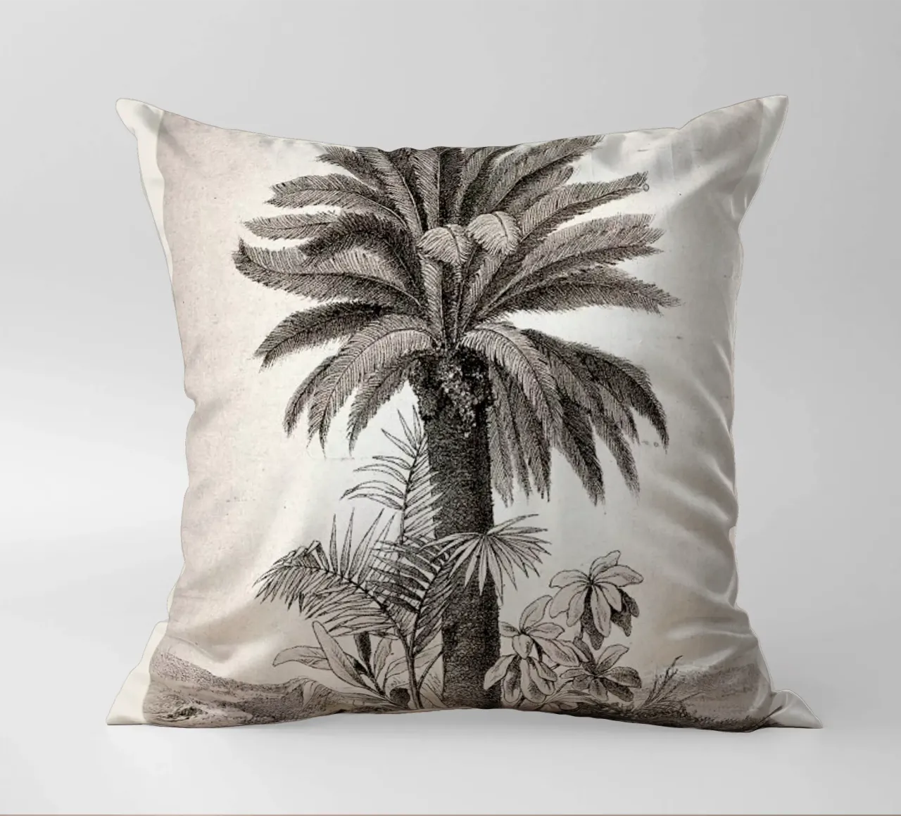 Sago Palm cuscino da Flora & Fauna