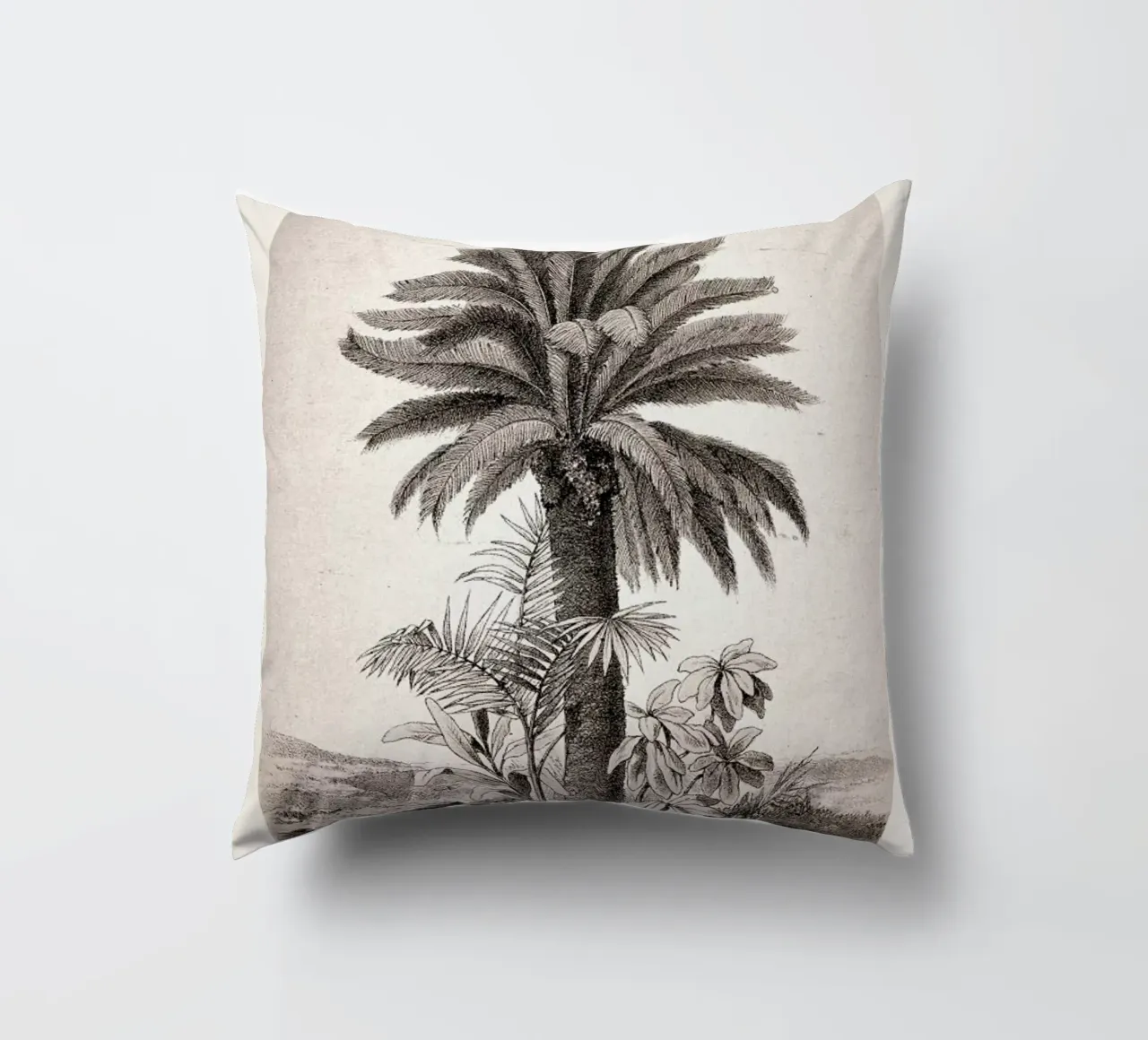 Sago Palm cuscino da Flora & Fauna