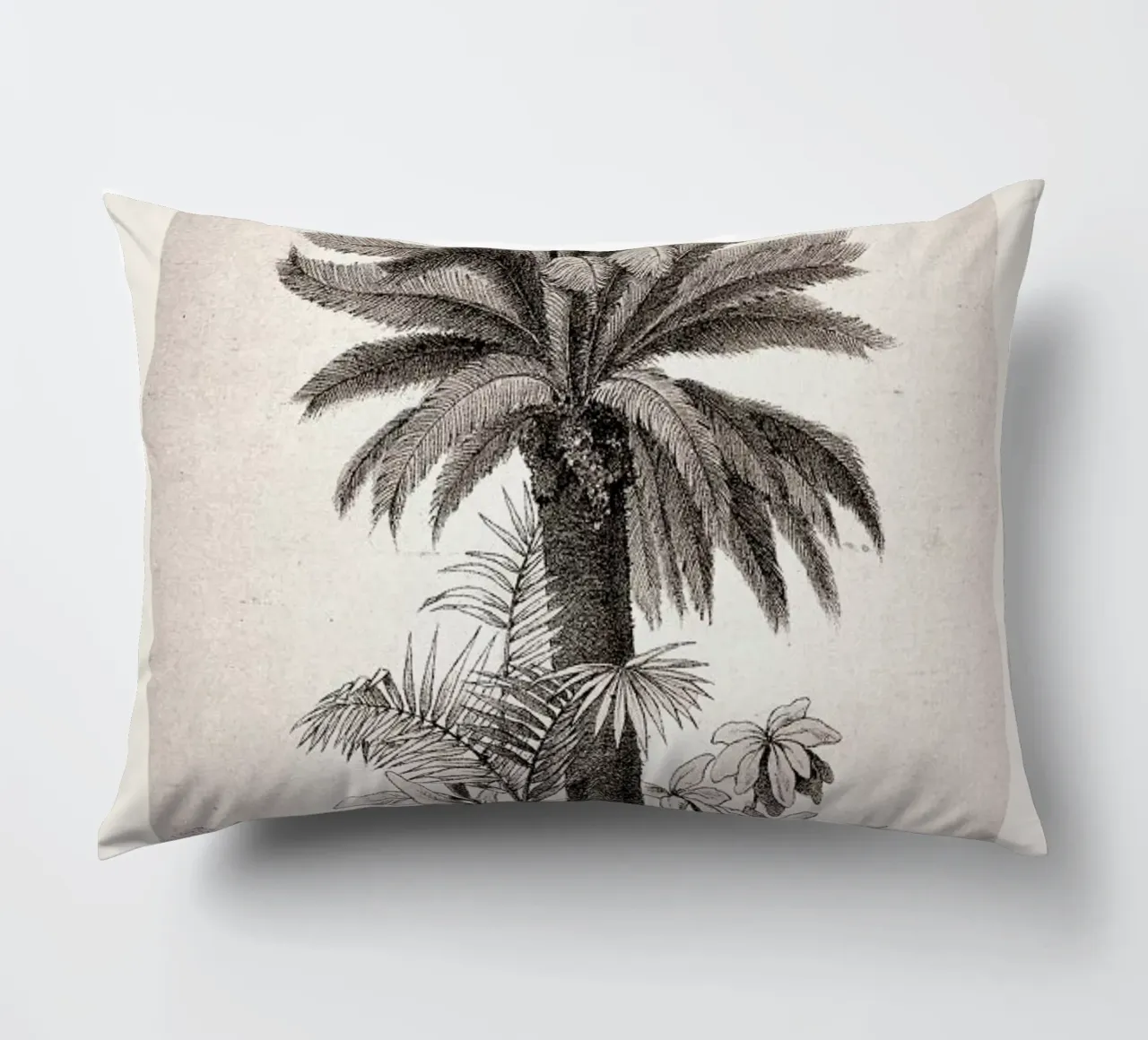 Sago Palm cuscino da Flora & Fauna