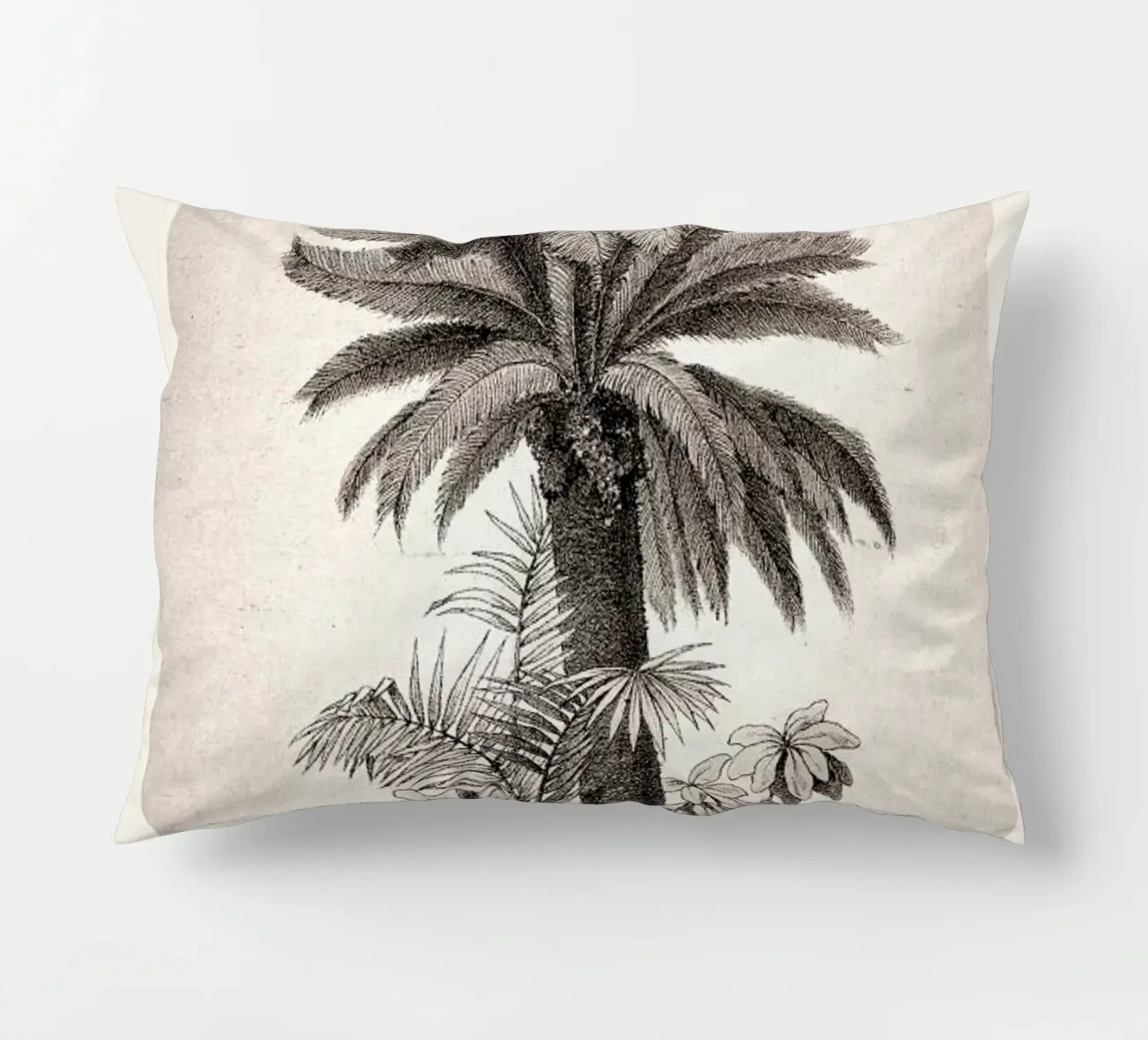 Sago Palm cuscino da Flora & Fauna