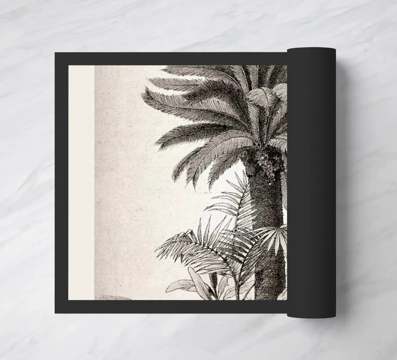 Sago Palm zerbino da Flora & Fauna
