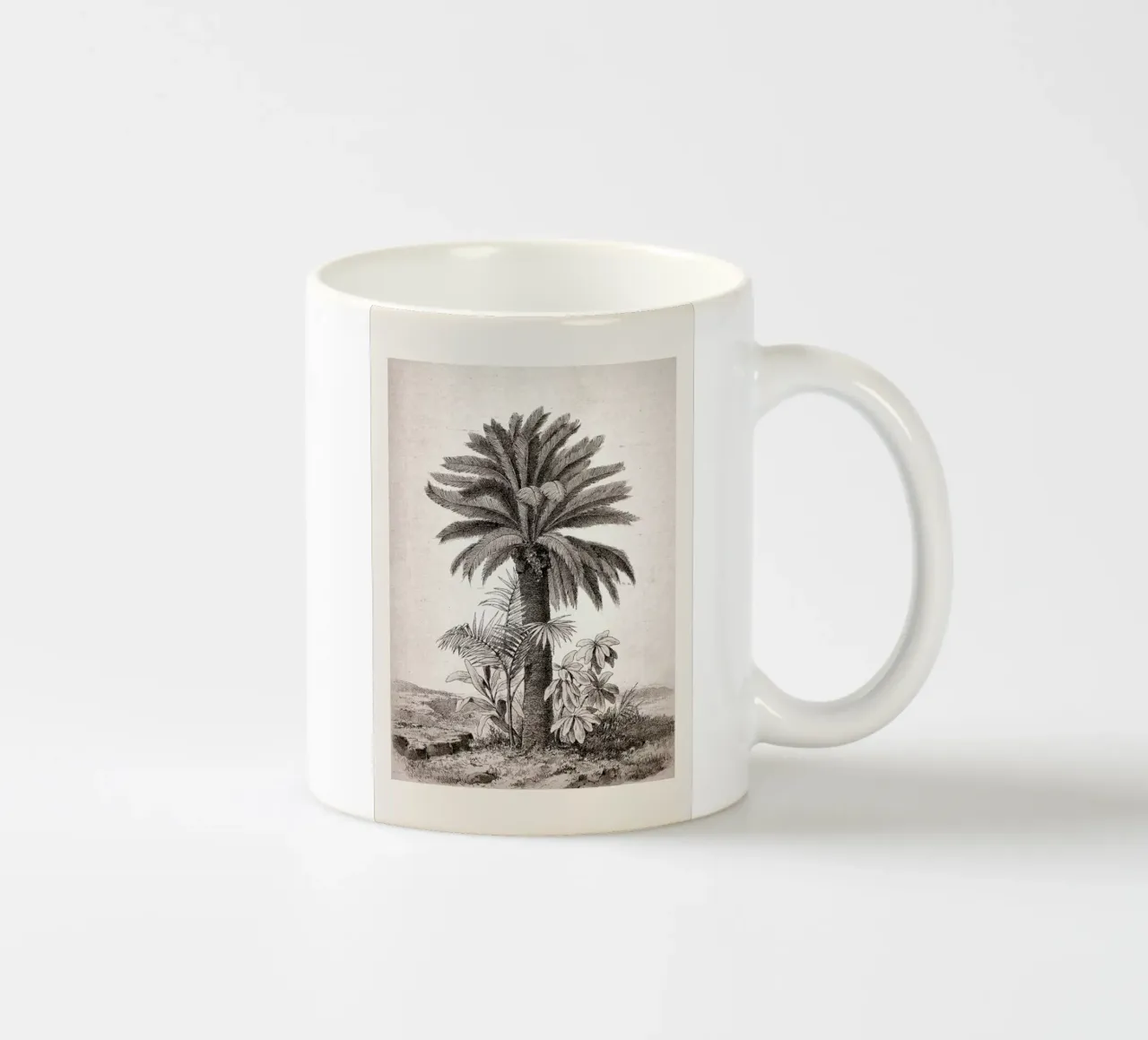 Sago Palm tazza in ceramica da Flora & Fauna