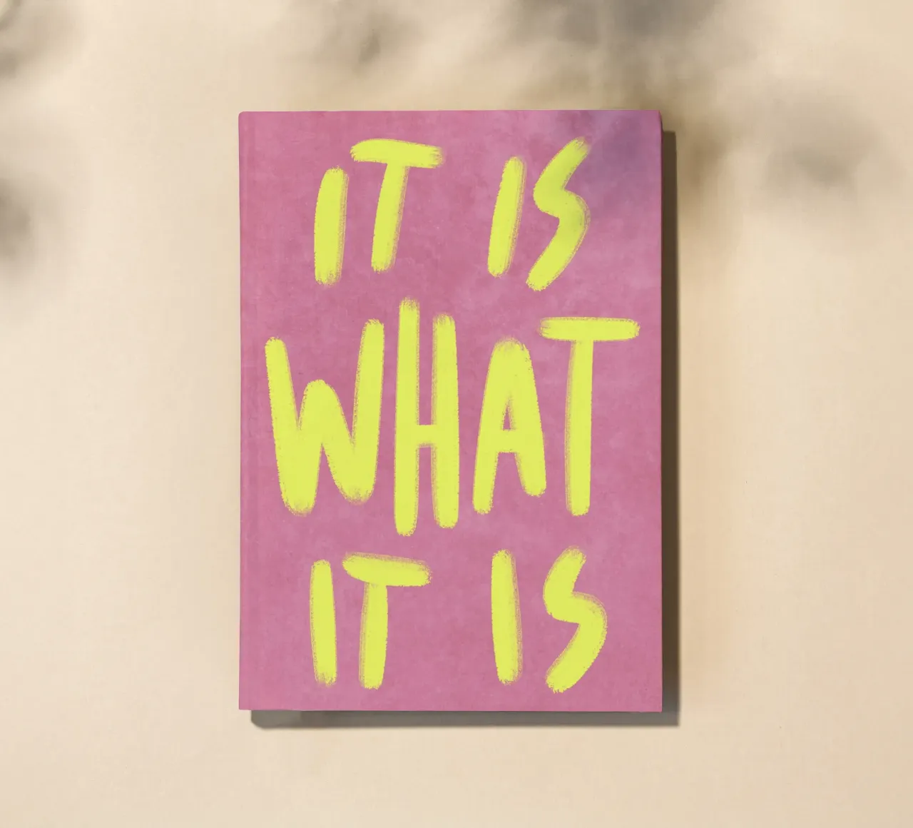 It is what it is diario da Illustration Raissa Oltmanns
