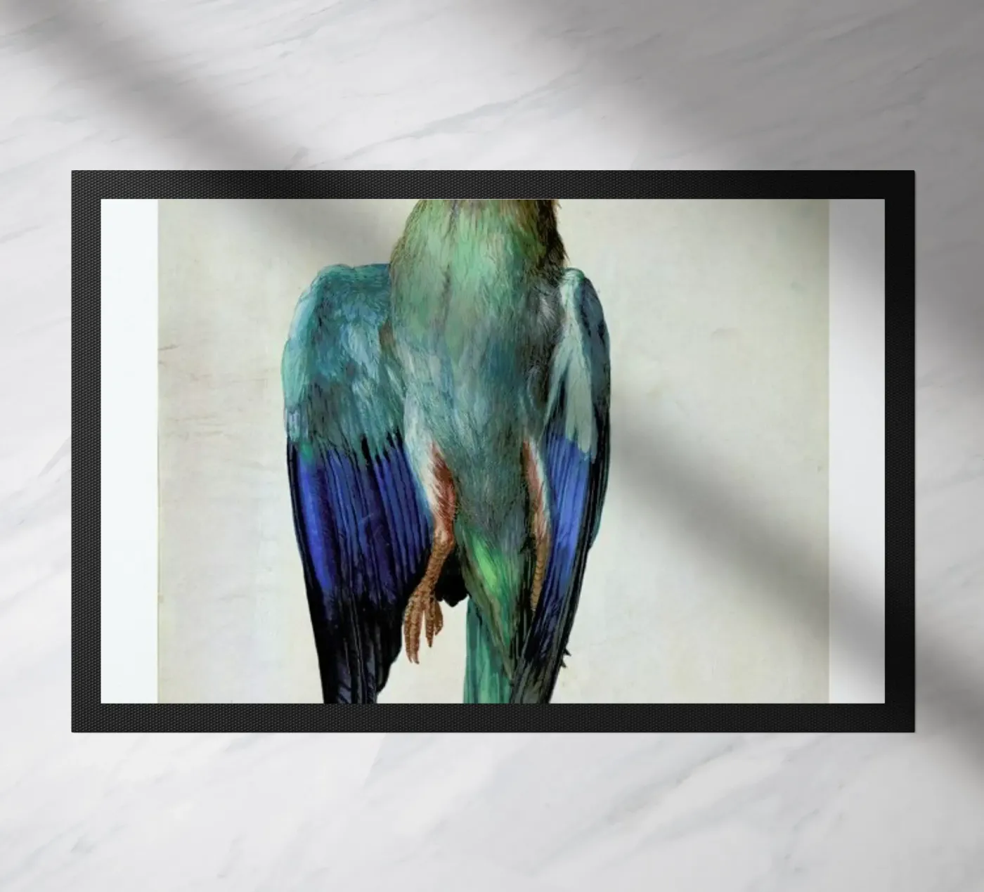 Dürer - Dead Blue Roller zerbino da ARTOTHEK