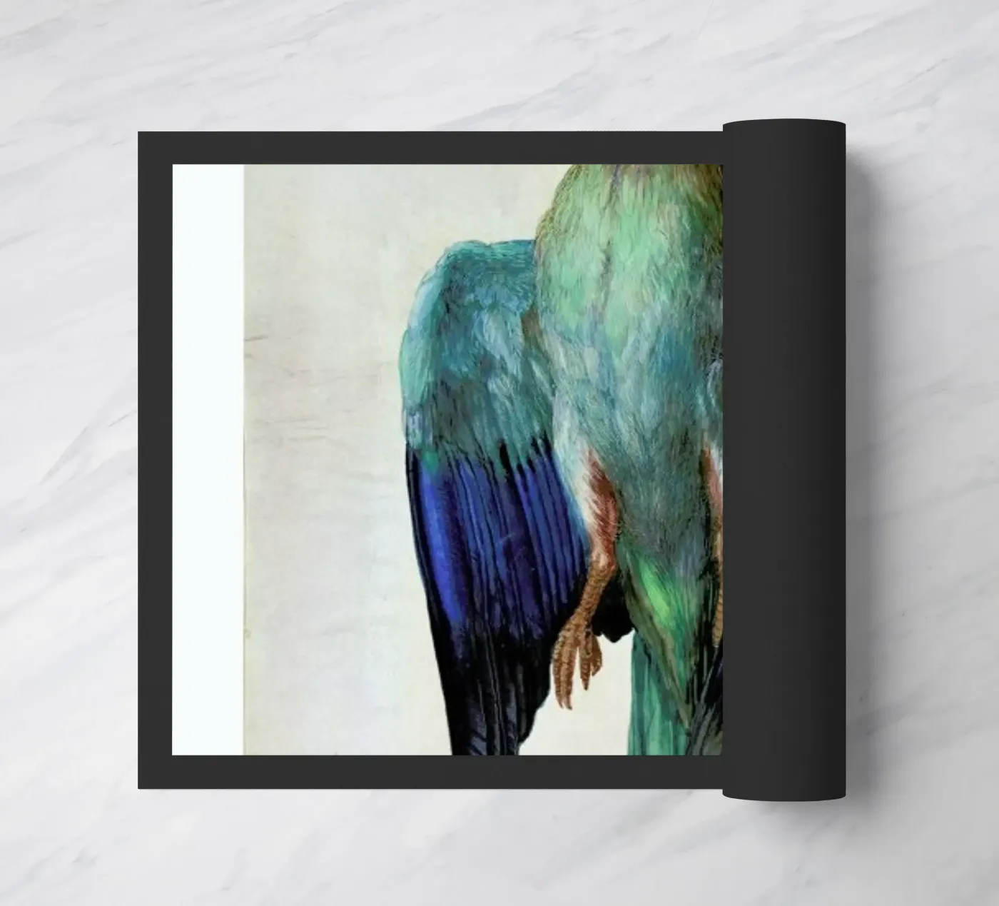 Dürer - Dead Blue Roller zerbino da ARTOTHEK