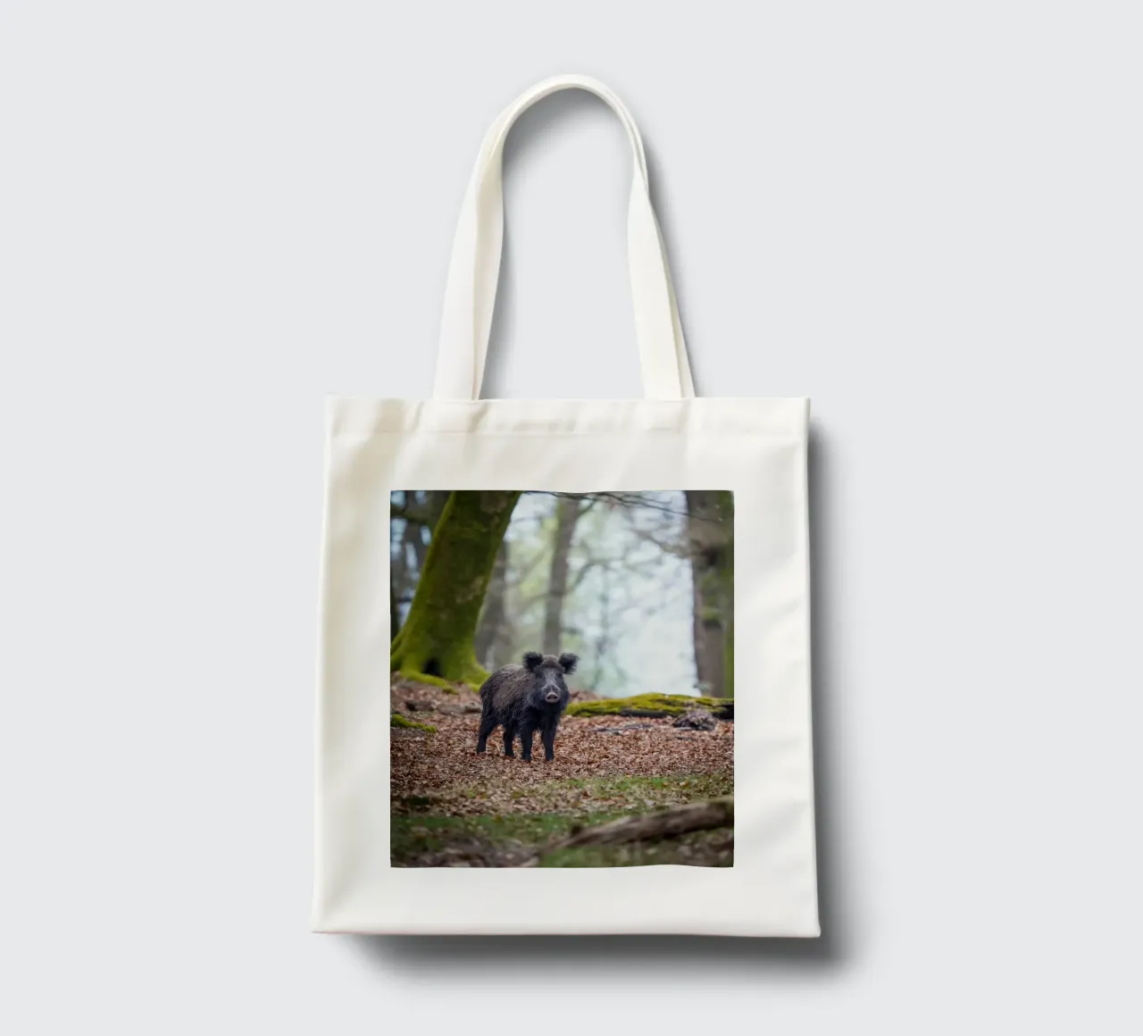 Cinghiale nella foresta borsa in juta da Tom's Wildlife