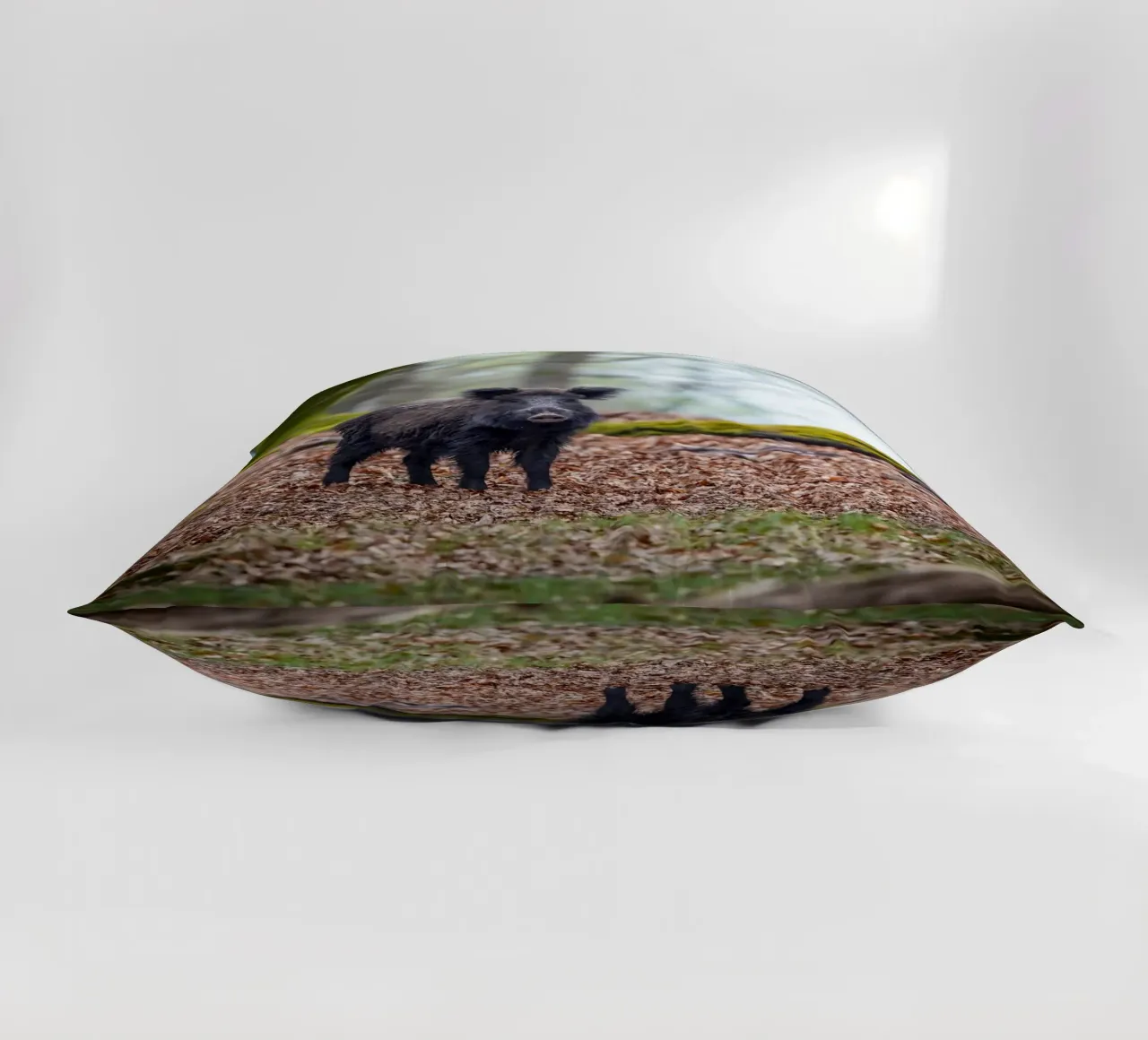 Cinghiale nella foresta cuscino da Tom's Wildlife
