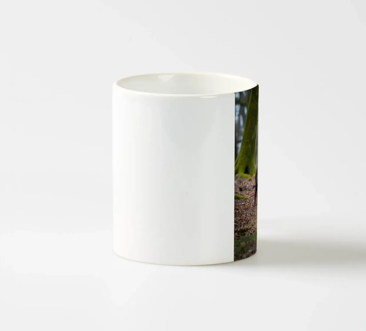Cinghiale nella foresta tazza in ceramica da Tom's Wildlife