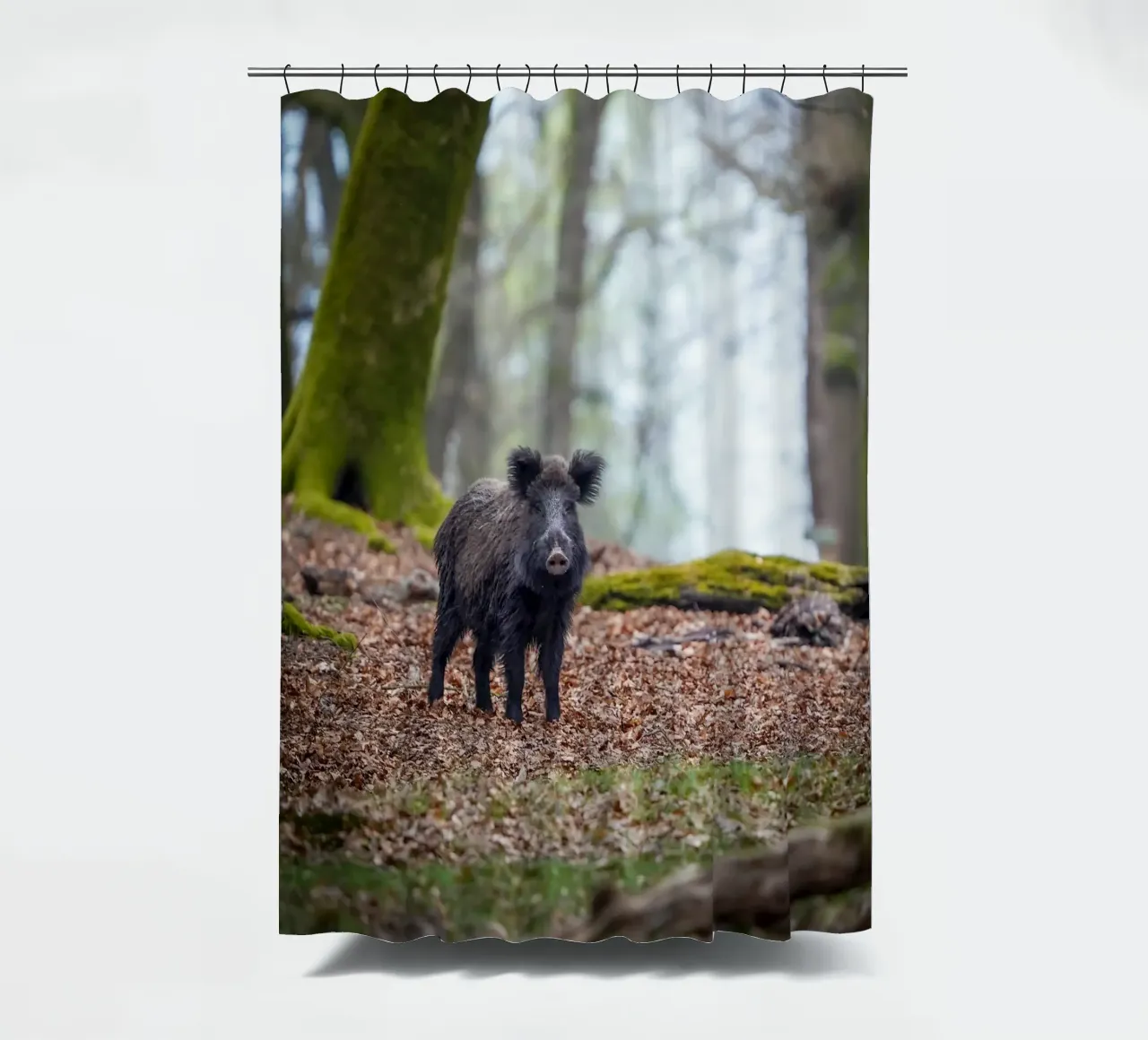 Cinghiale nella foresta tenda da doccia da Tom's Wildlife