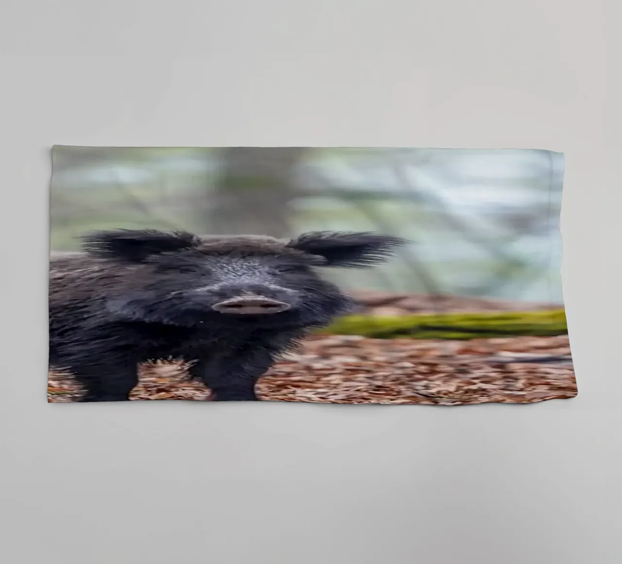 Cinghiale nella foresta asciugamano da bagno da Tom's Wildlife