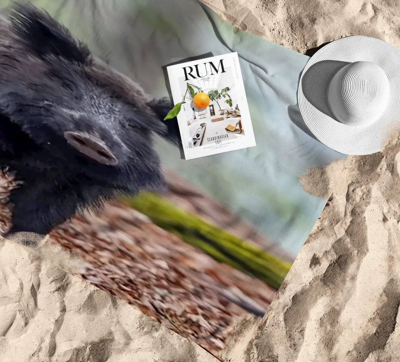 Wild boar in the forest telo mare da Tom's Wildlife