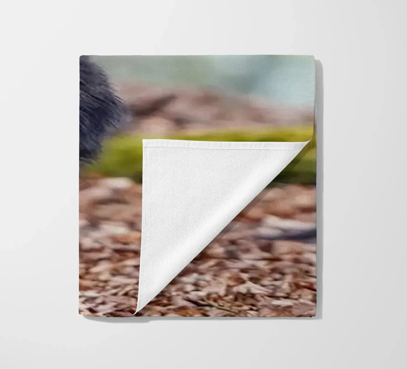 Wild boar in the forest telo mare da Tom's Wildlife