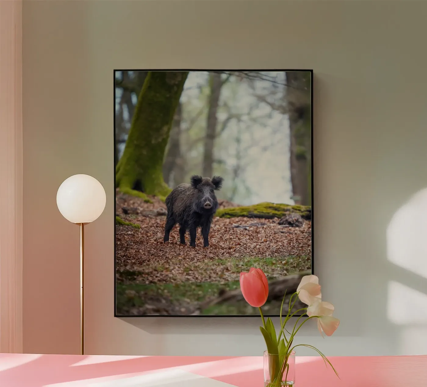 Cinghiale nella foresta plexiglass da Tom's Wildlife