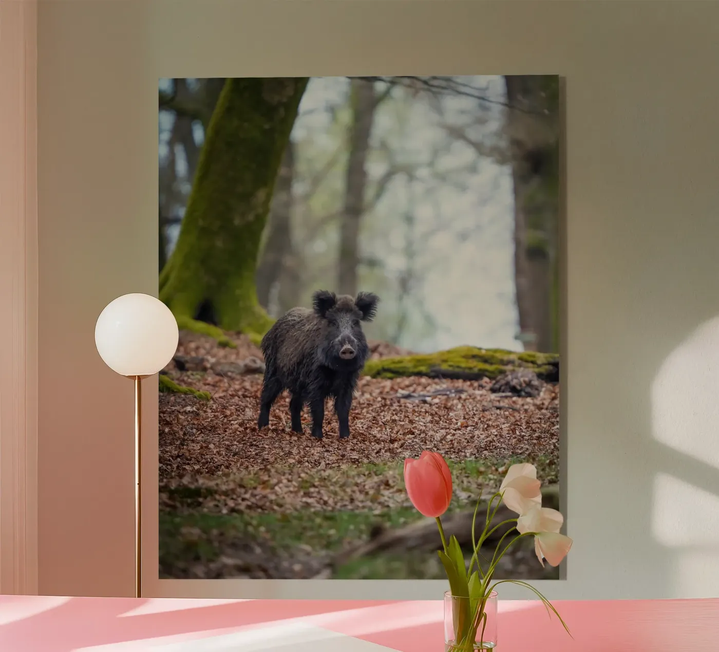 Wild boar in the forest plexiglass da Tom's Wildlife