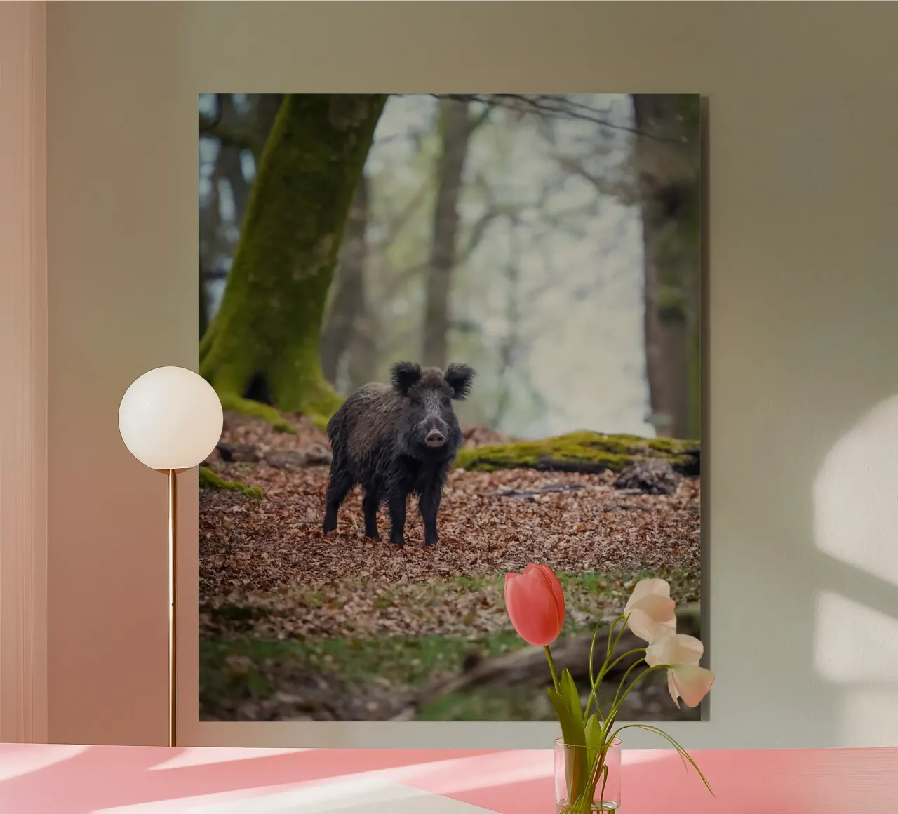 Cinghiale nella foresta alluminio dibond da Tom's Wildlife