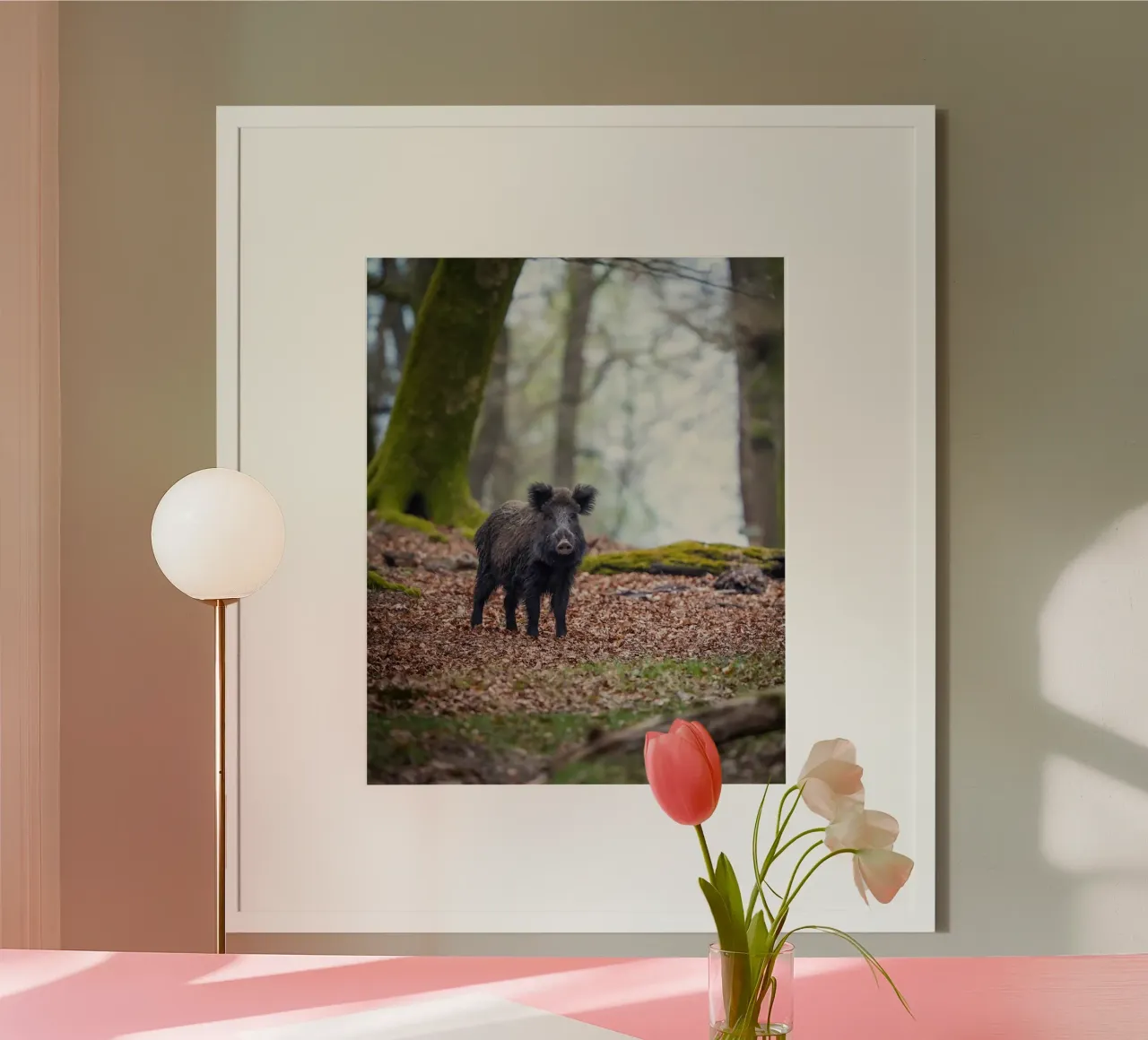 Cinghiale nella foresta poster da Tom's Wildlife