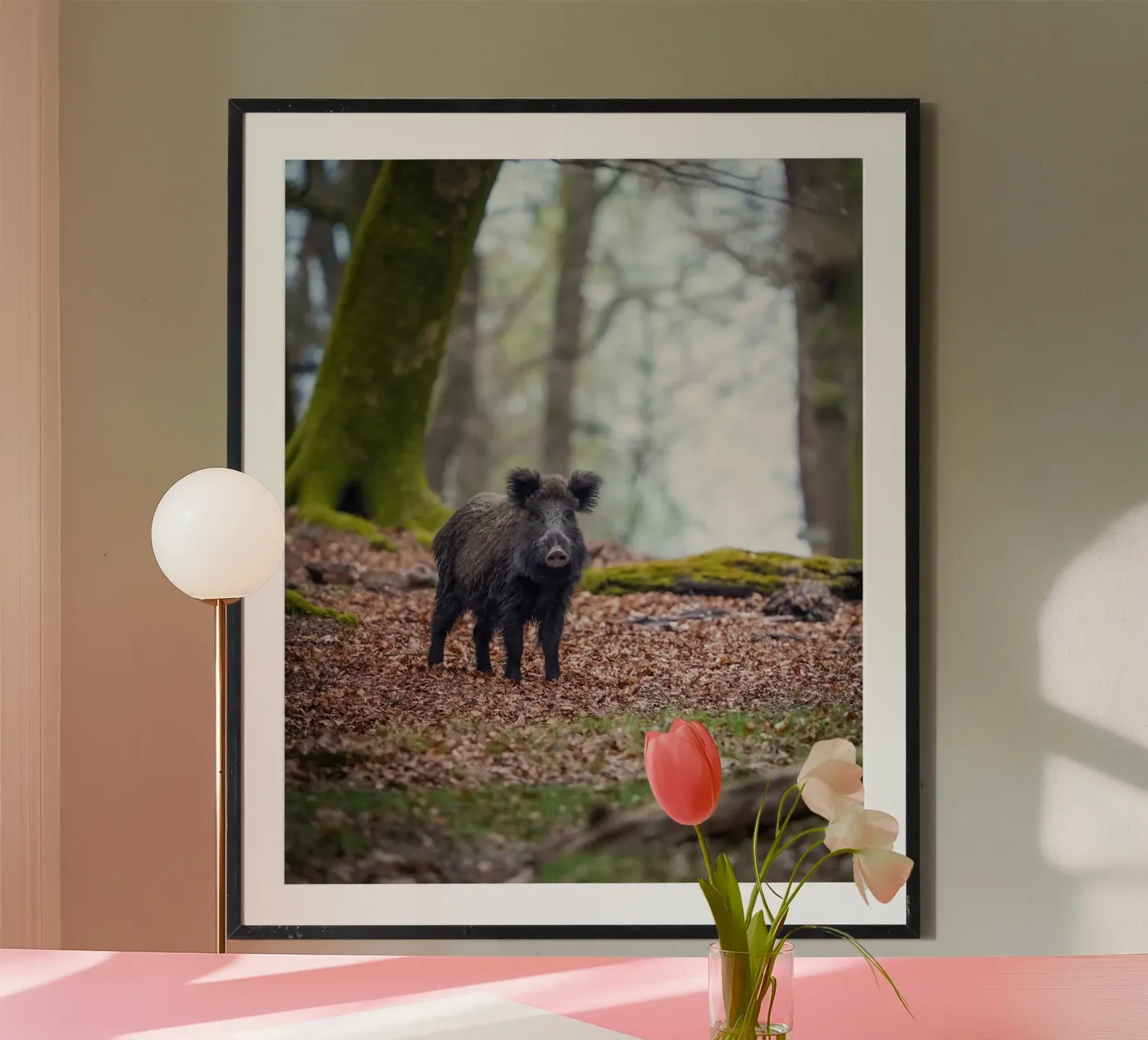 Cinghiale nella foresta poster da Tom's Wildlife