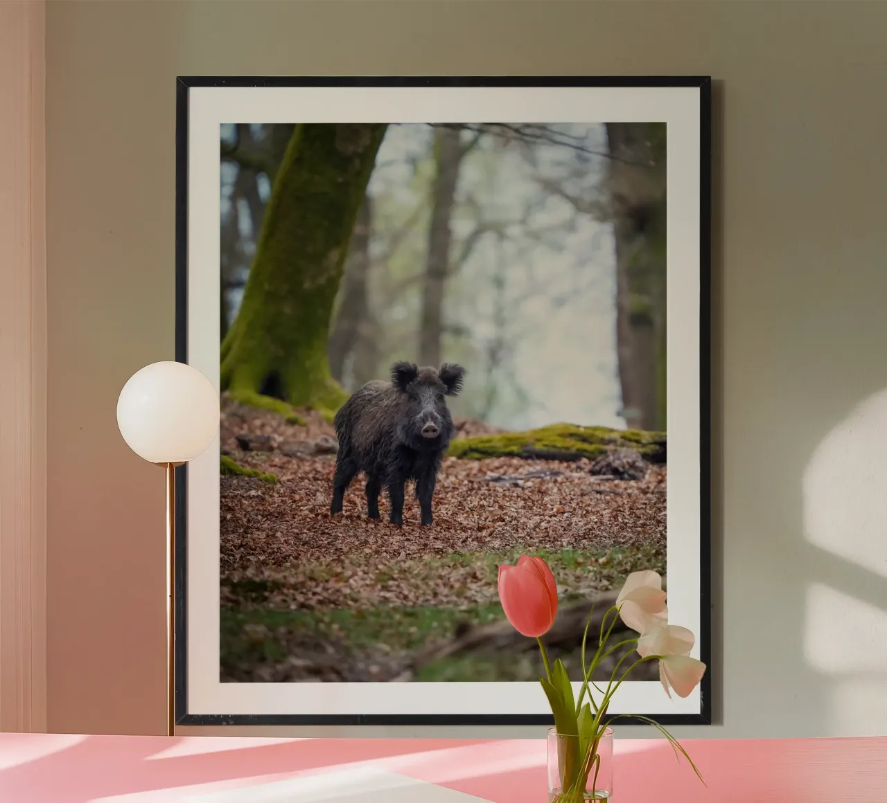 Cinghiale nella foresta poster da Tom's Wildlife