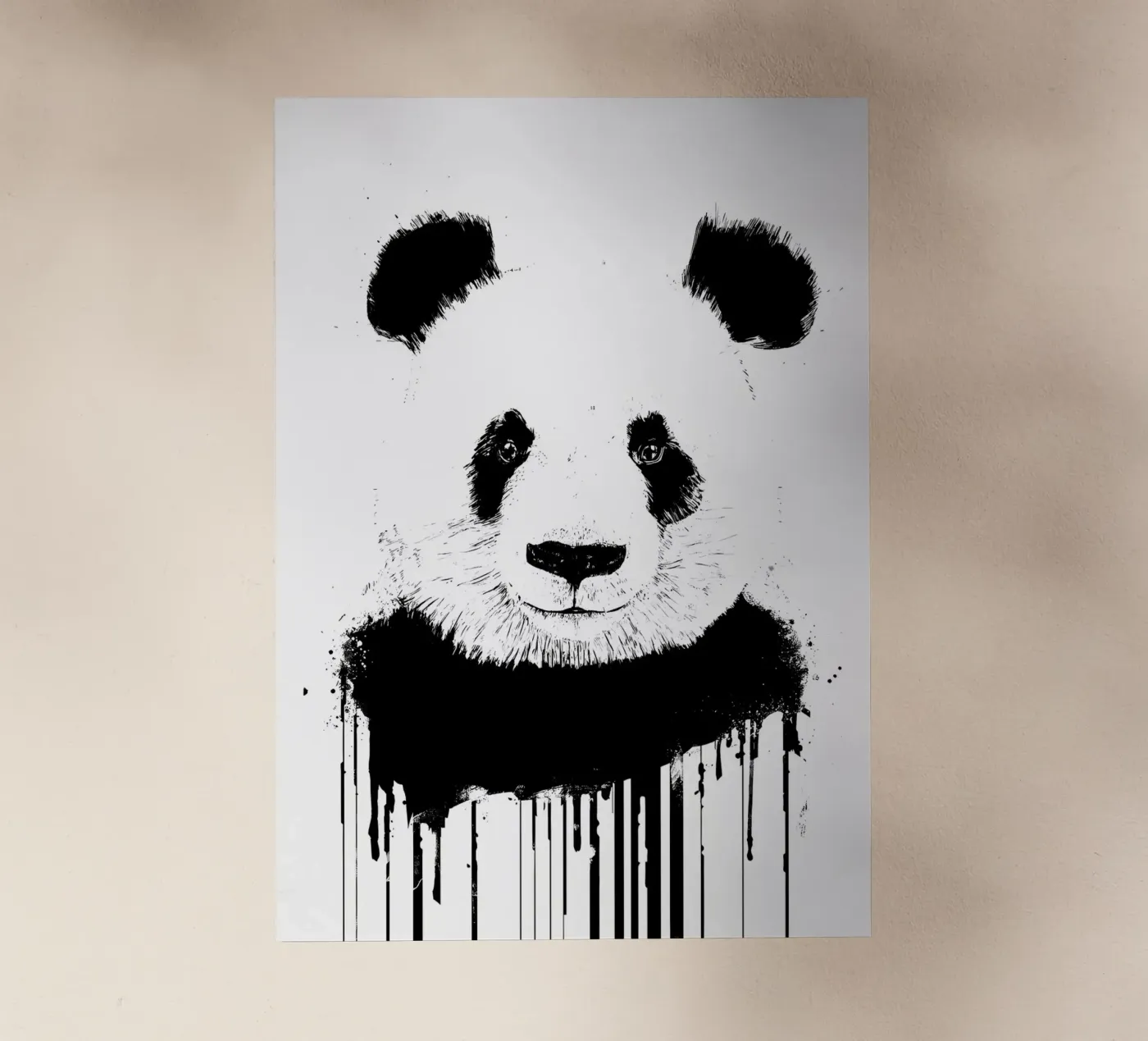 panda pellicola backlit da James M Coyle