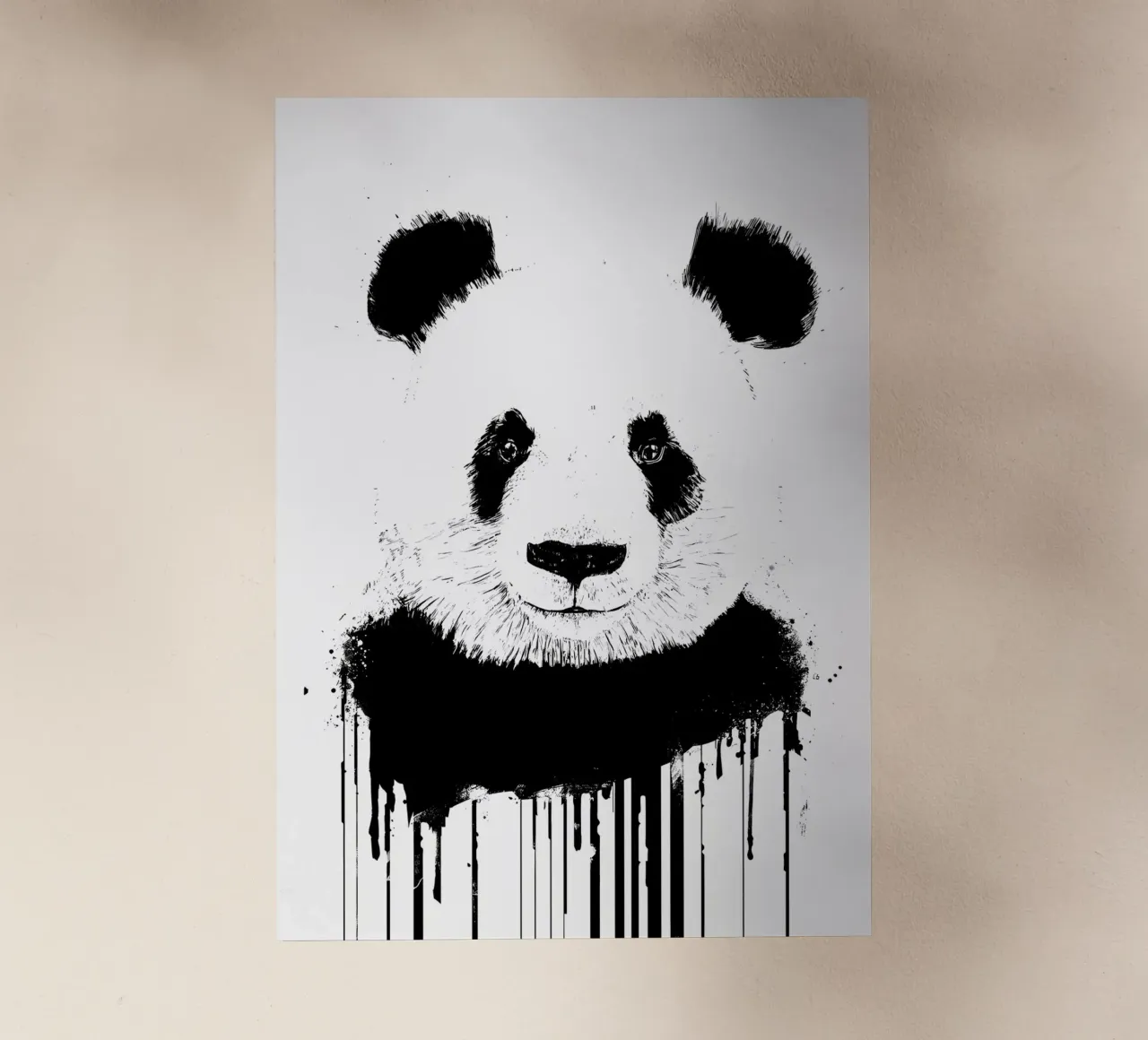 panda pellicola backlit da James M Coyle