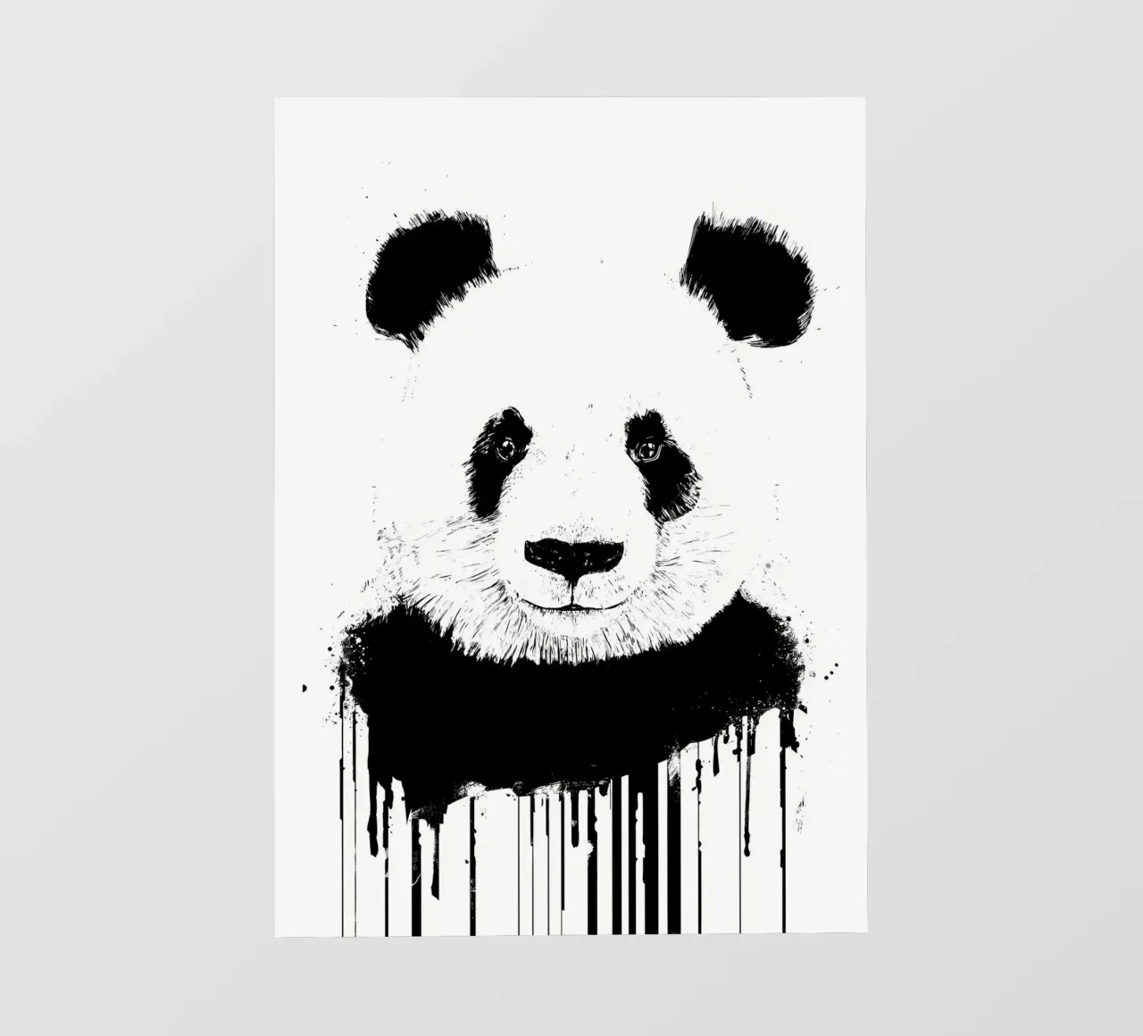 panda pellicola backlit da James M Coyle