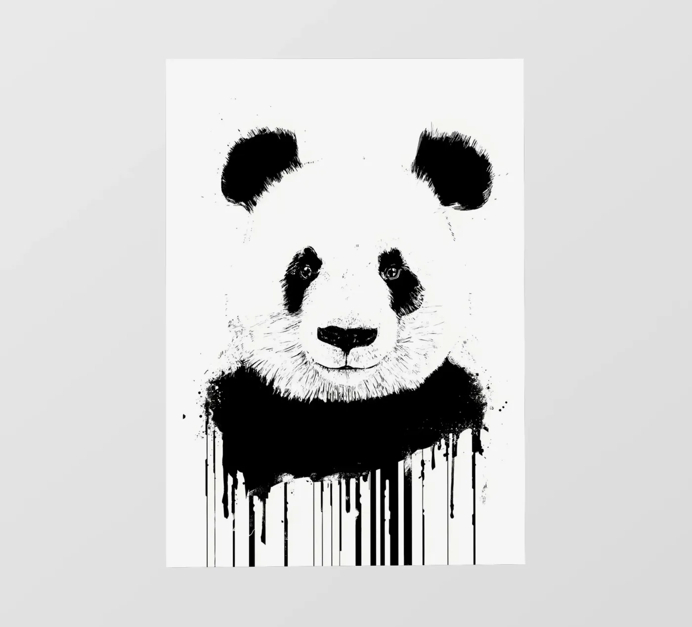 panda pellicola backlit da James M Coyle