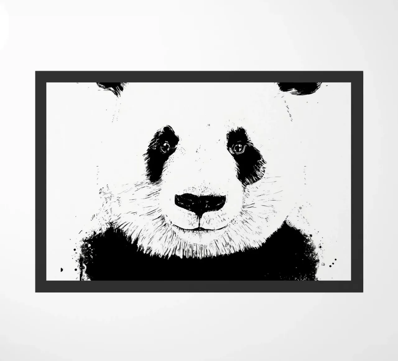 panda zerbino da James M Coyle