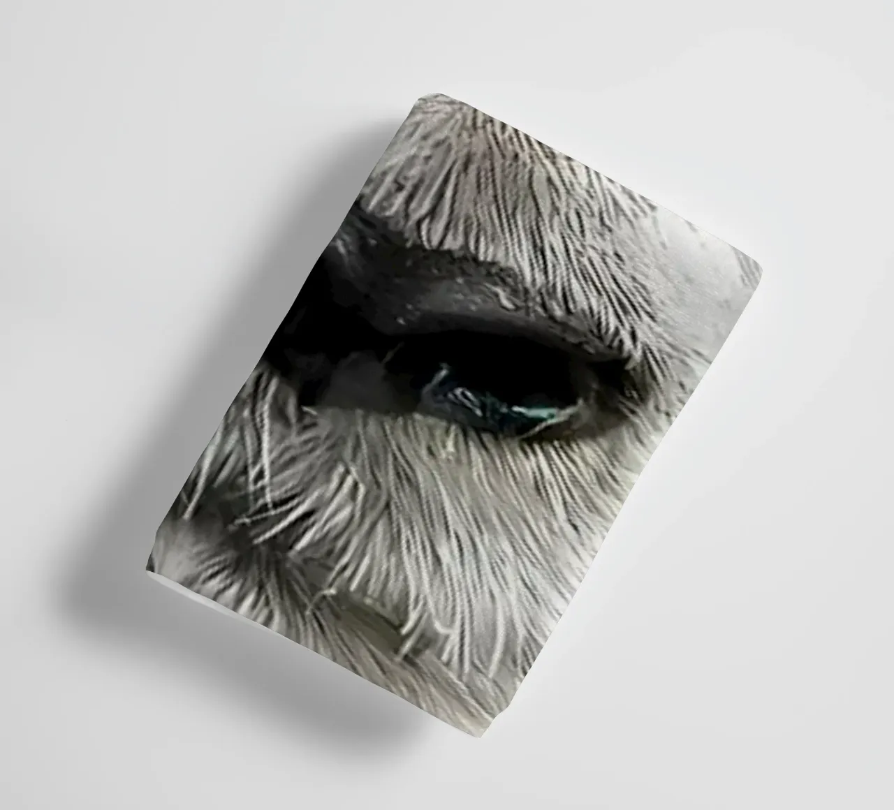 Testa di panda asciugamano da bagno da James M Coyle