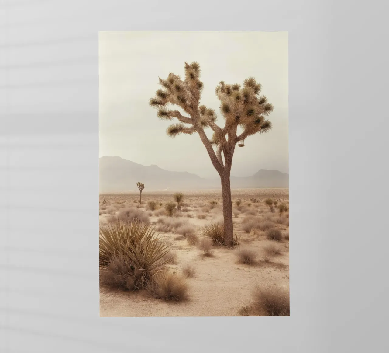 Paesaggio del deserto di Joshua Tree pellicola backlit da Indigo Tides Art