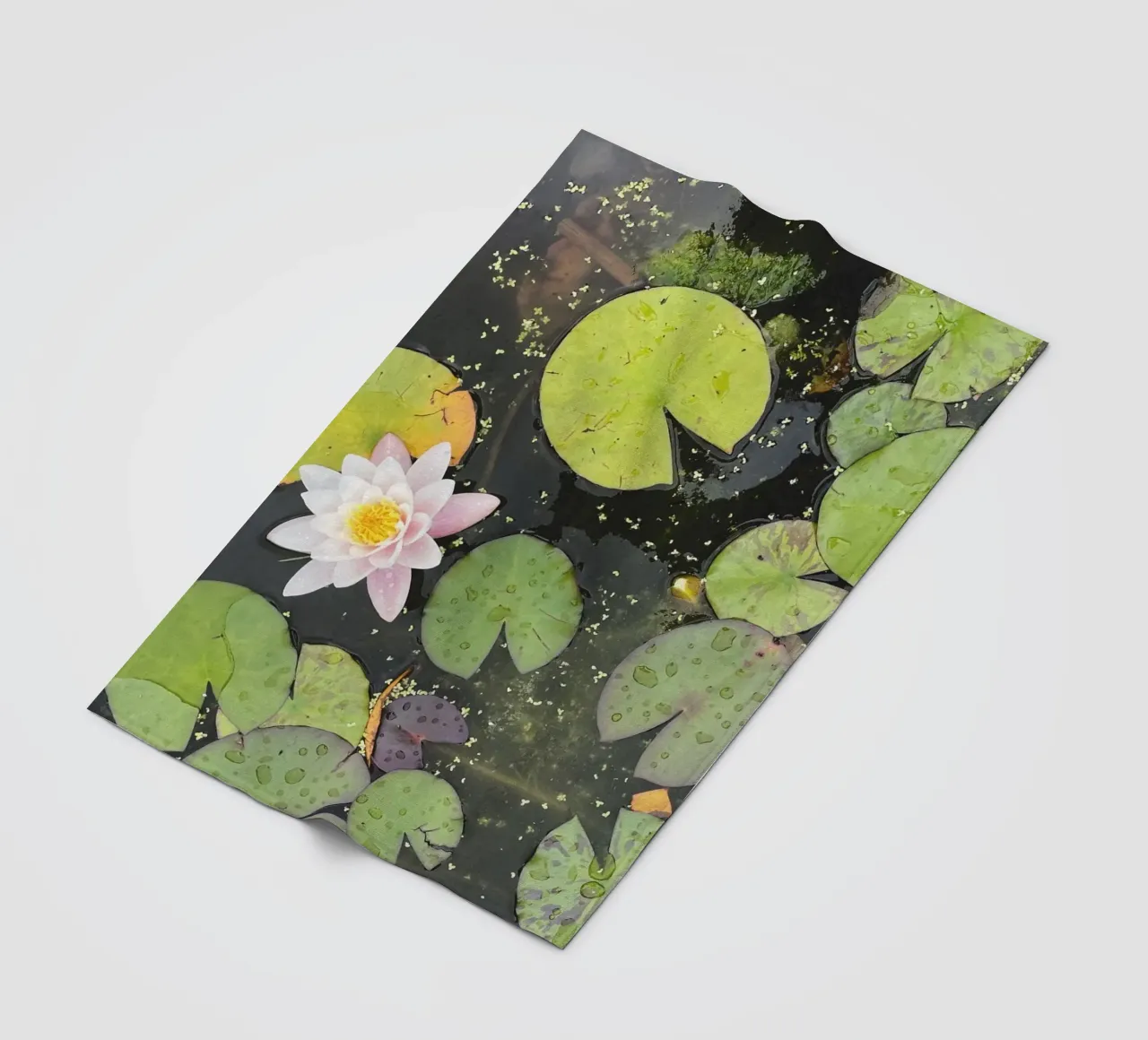 Lily Pads plaid polaire de Cassia Beck Photography