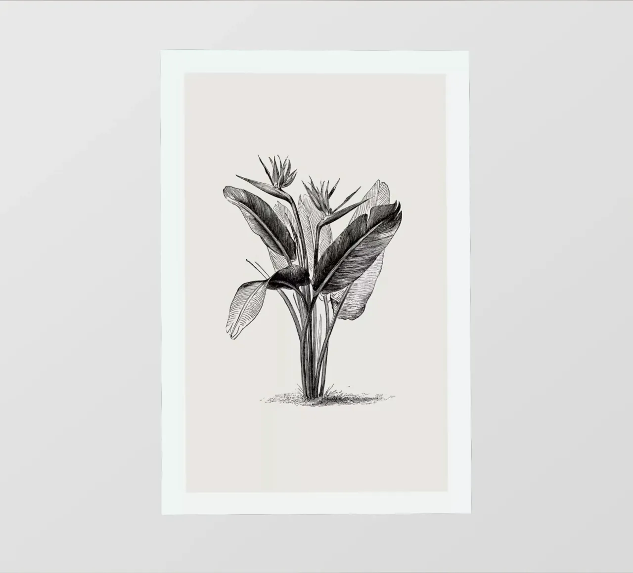 Crane Flower telo in pvc da Flora & Fauna