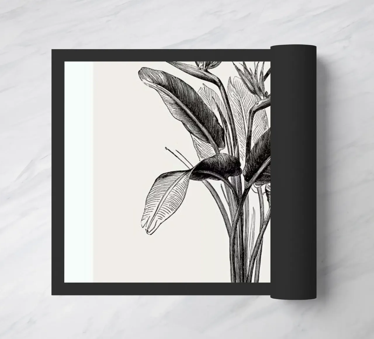 Crane Flower zerbino da Flora & Fauna