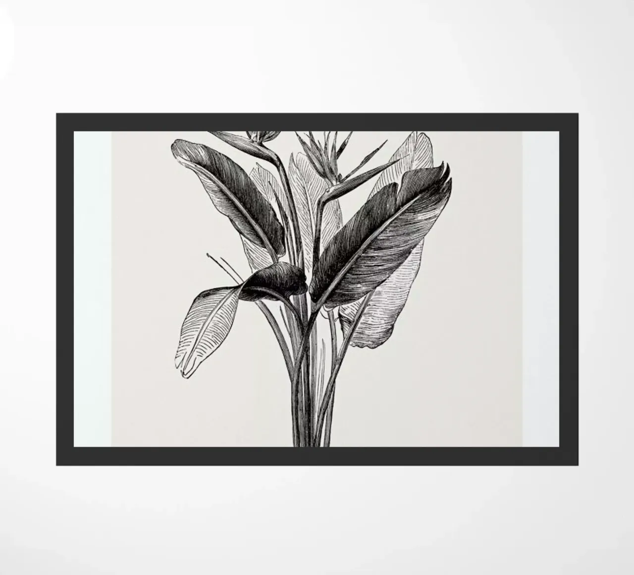 Crane Flower zerbino da Flora & Fauna