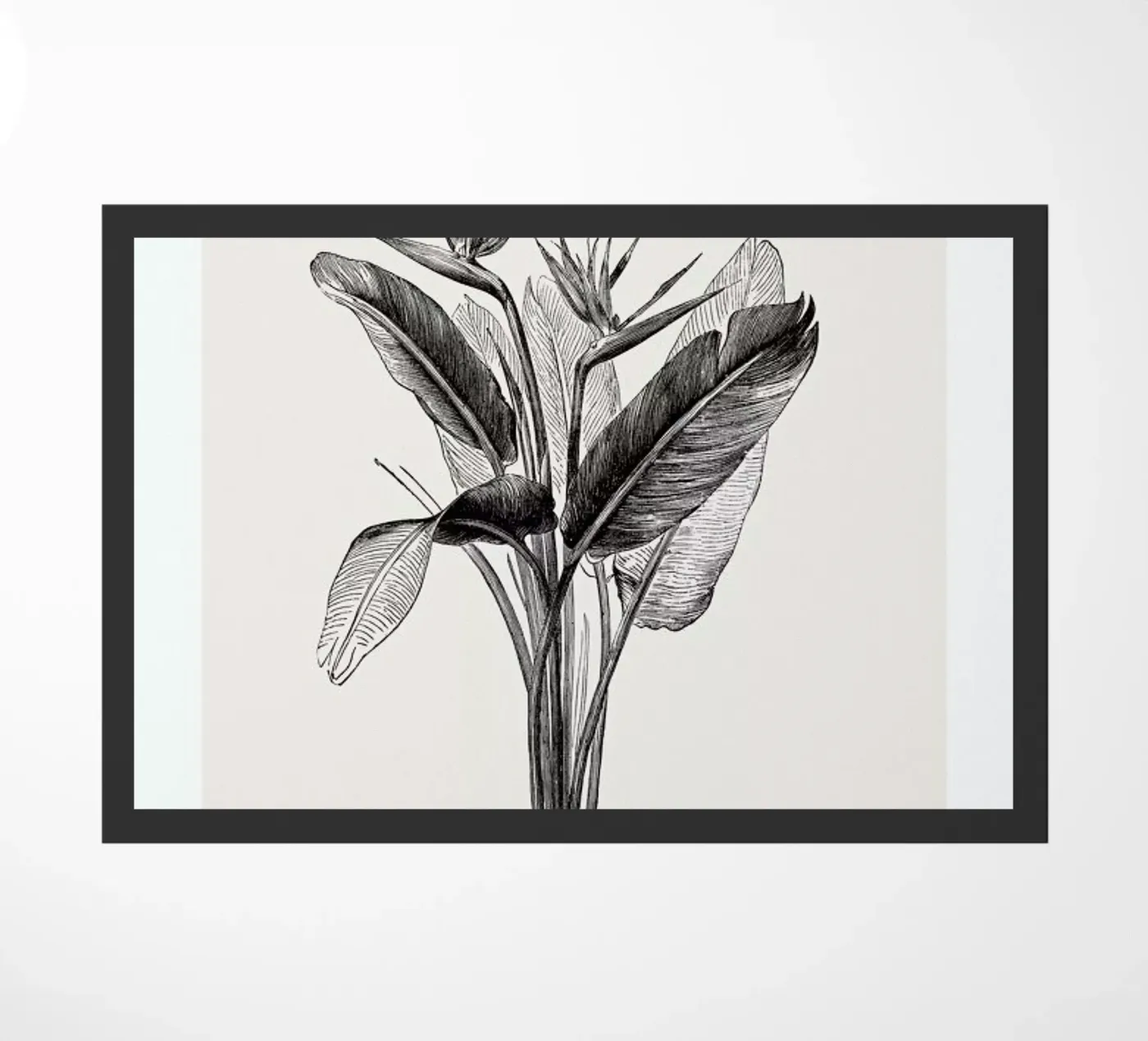 Crane Flower Fußmatte von Flora & Fauna