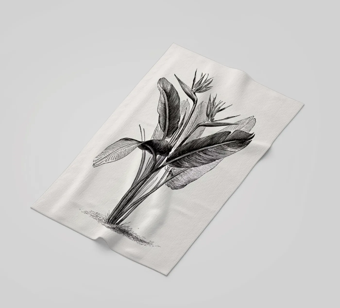 Crane Flower telo mare da Flora & Fauna