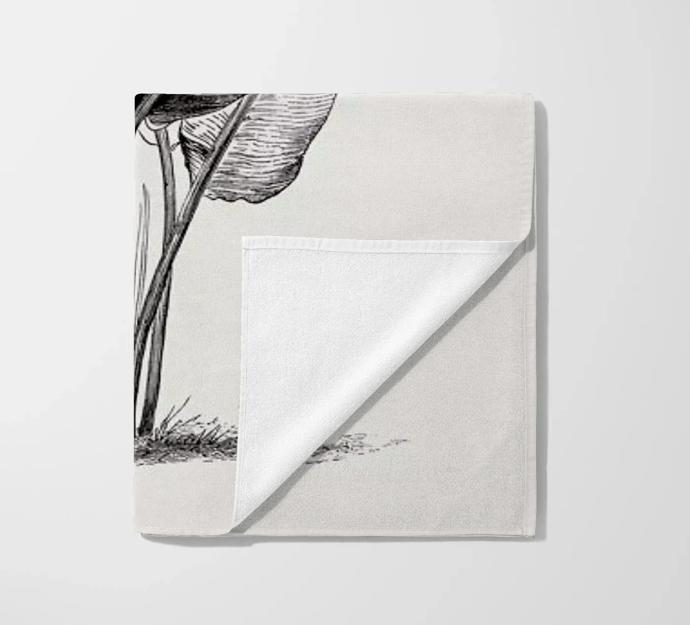 Crane Flower telo mare da Flora & Fauna
