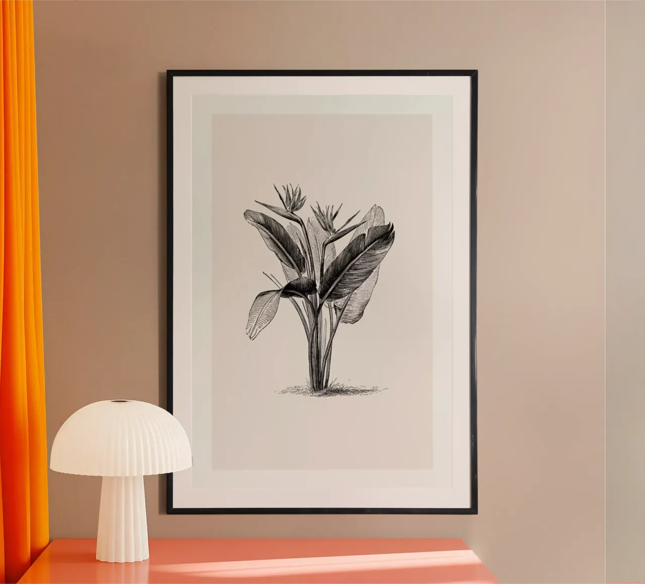 Crane Flower poster da Flora & Fauna