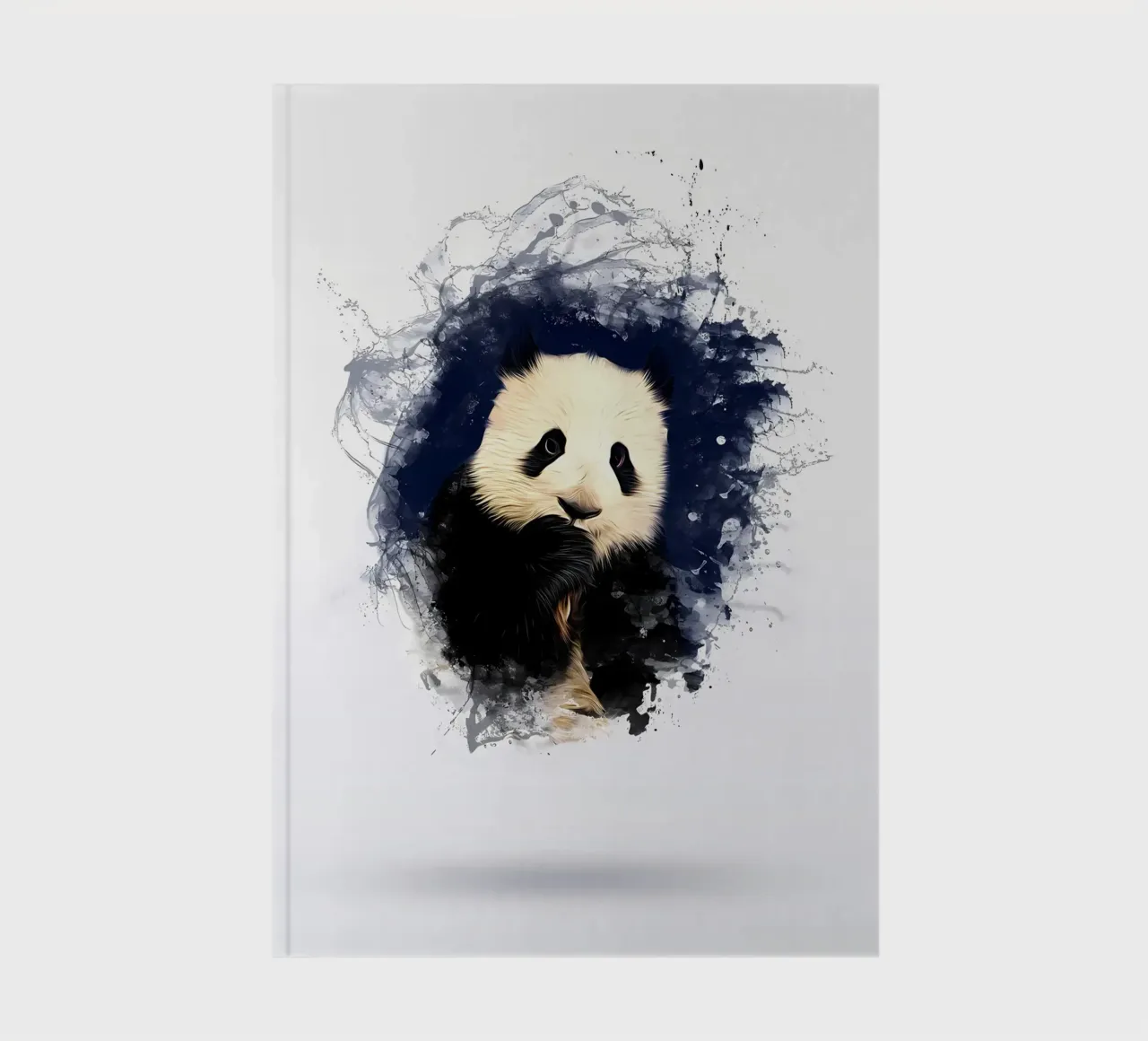 PANDA notebook by James M Coyle