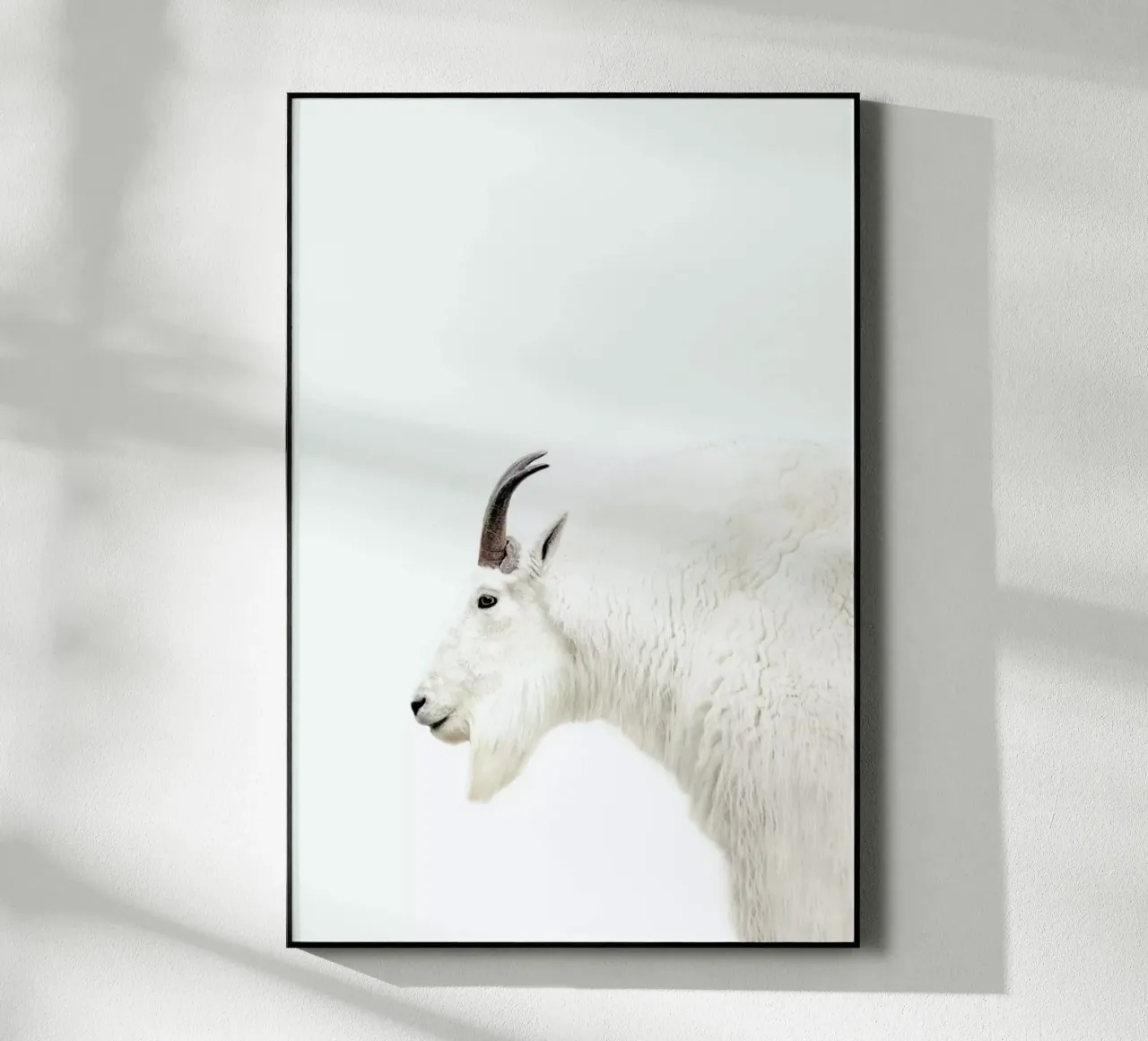 Mountain Goat plexiglass da Monika Strigel