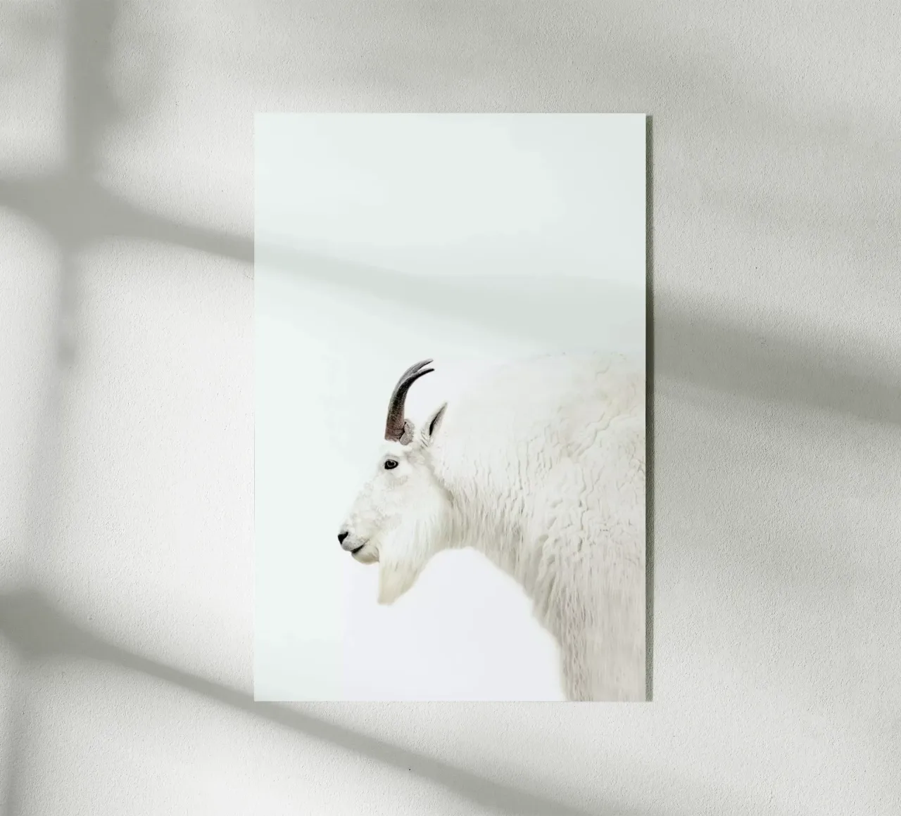 Mountain Goat plexiglass da Monika Strigel