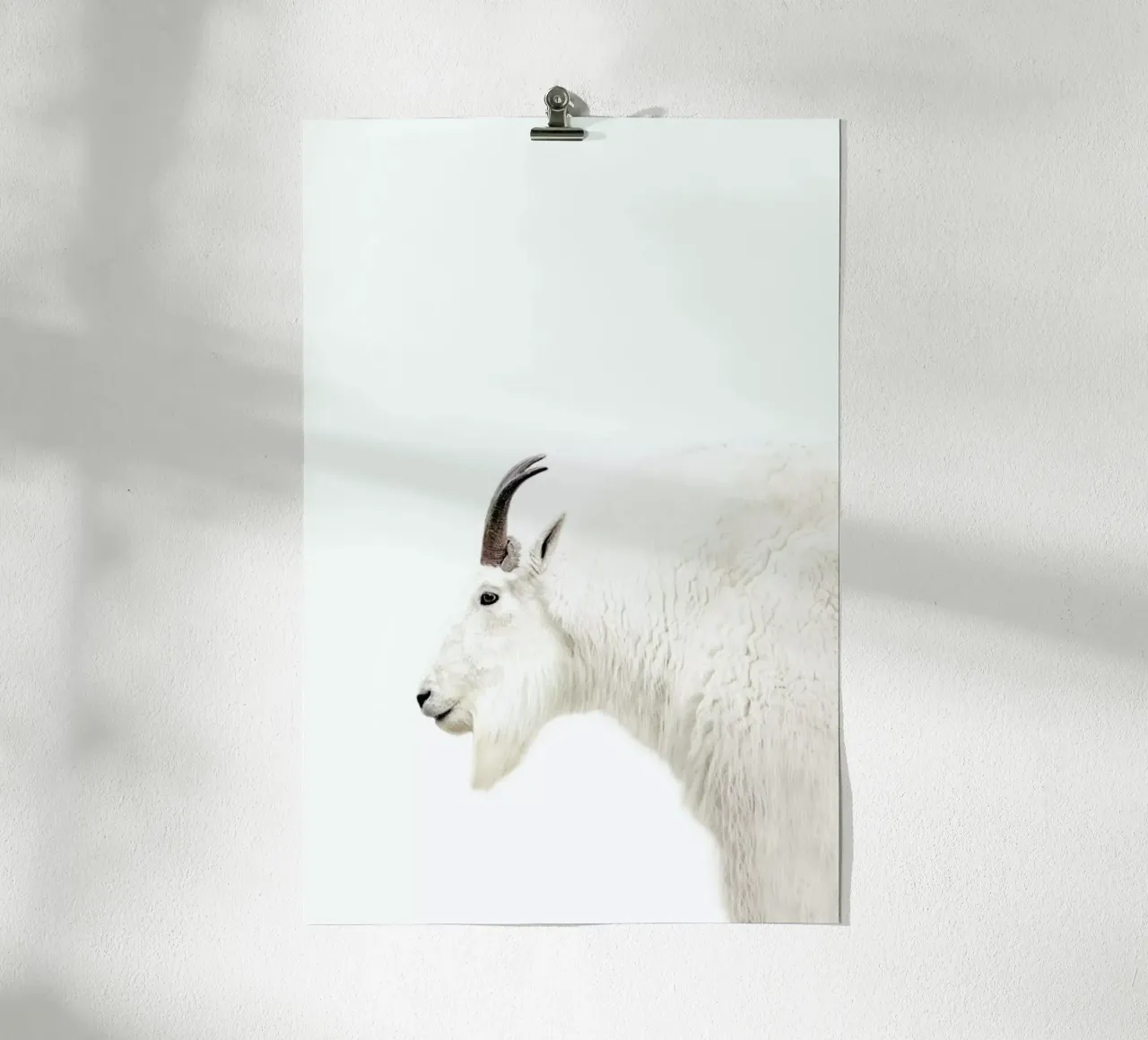 Mountain Goat poster con telaio in plastica da Monika Strigel
