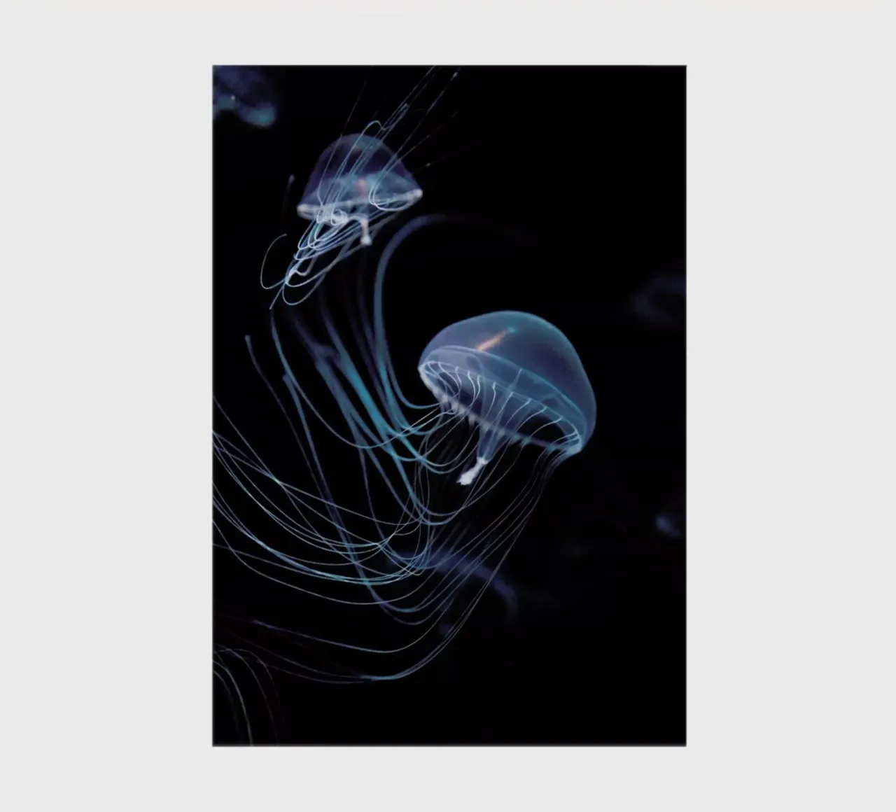 Intergalactic @TakayukiUchida notebook by EyeEm Mobile GmbH
