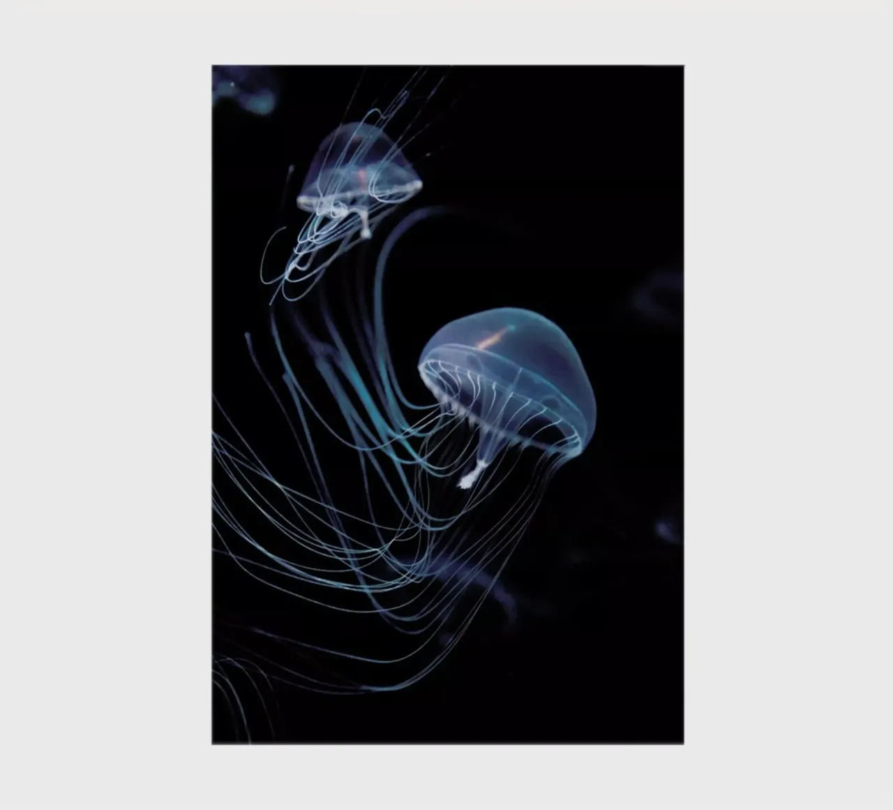 Intergalactic @TakayukiUchida notebook by EyeEm Mobile GmbH