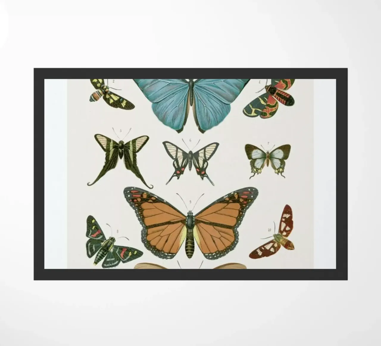 Butterflies Fußmatte von Flora & Fauna