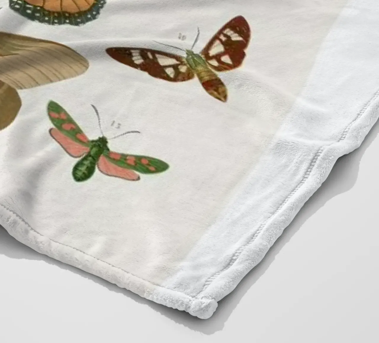Butterflies coperta in pile da Flora & Fauna