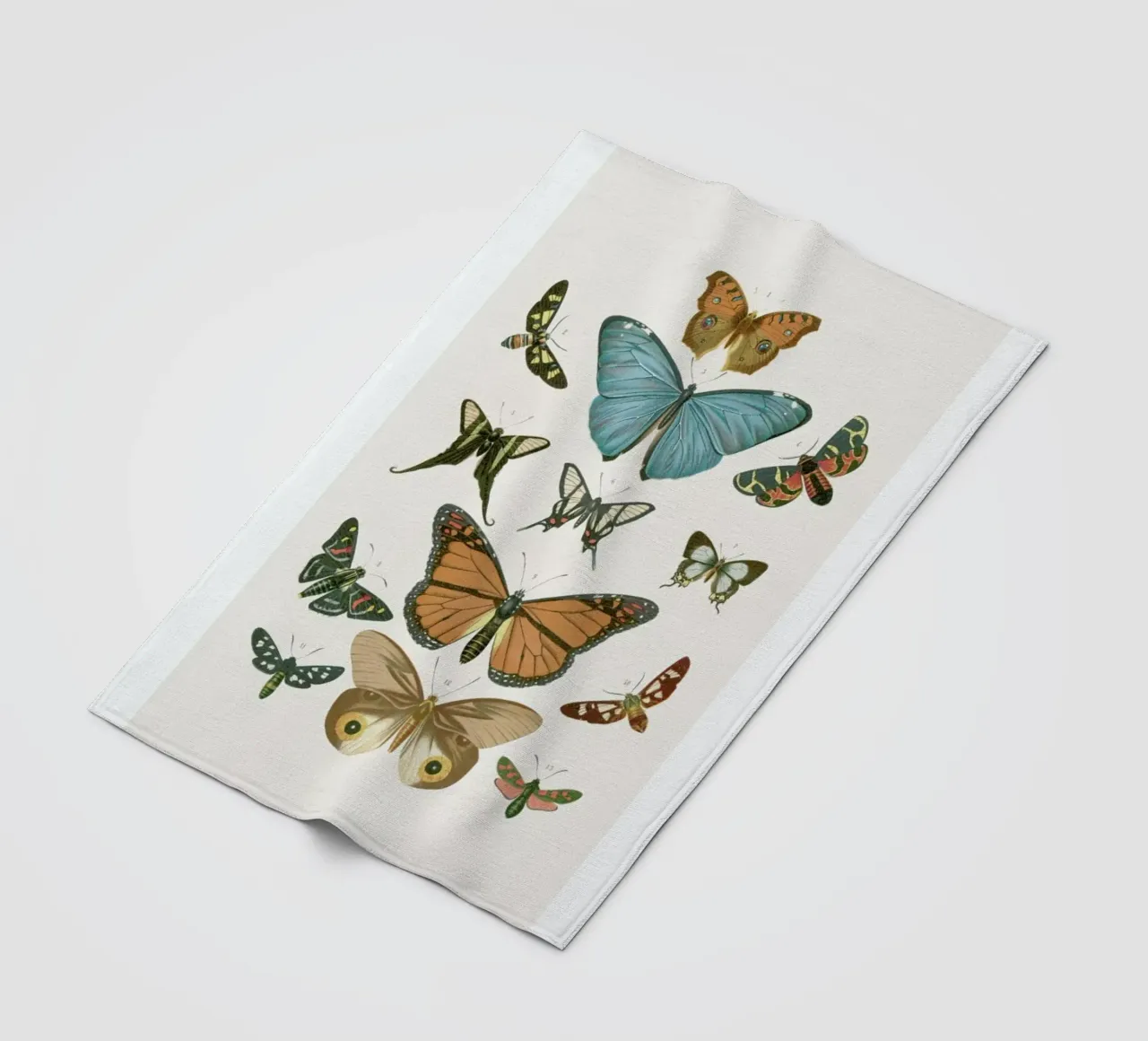 Butterflies coperta in pile da Flora & Fauna