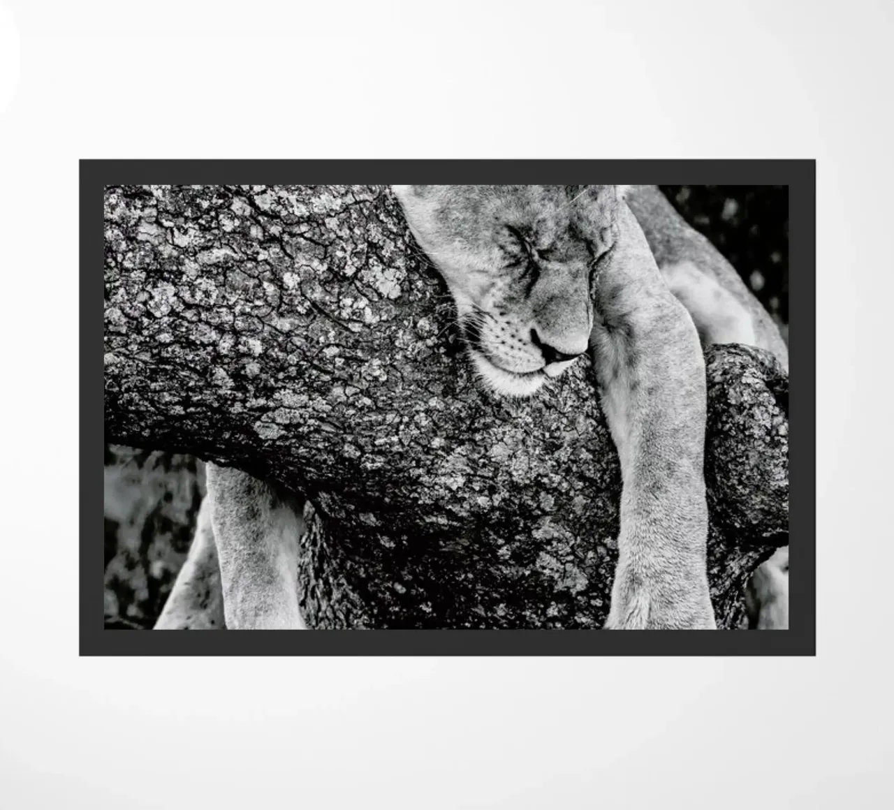 Lazy Day zerbino da Natural Kingdom