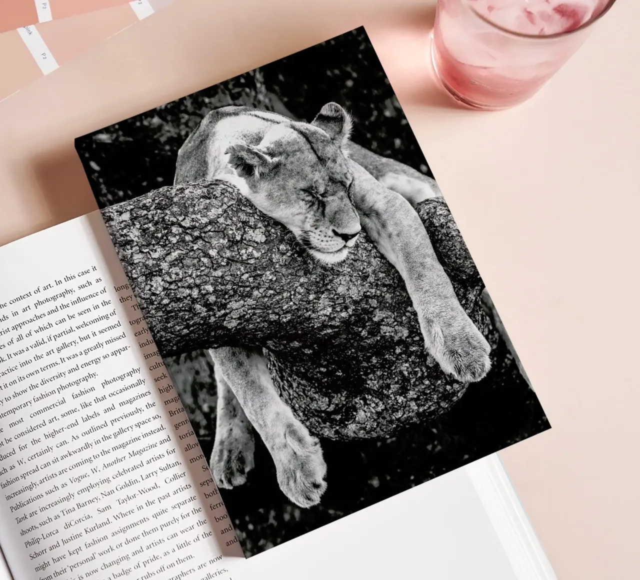 Lazy Day Notizbuch von Natural Kingdom