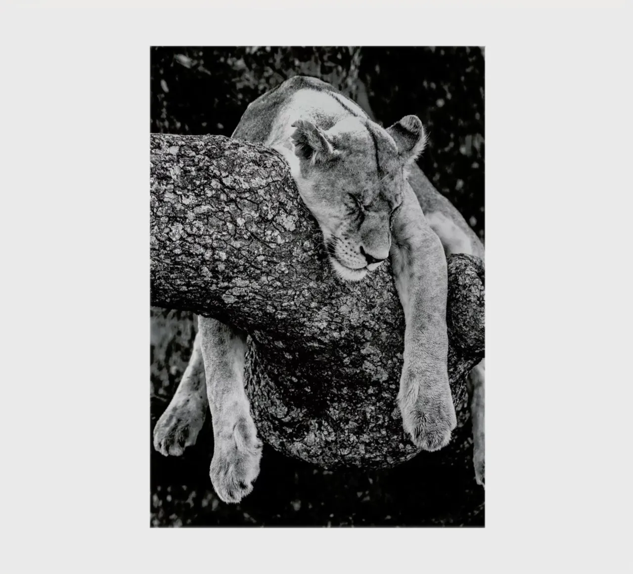 Lazy Day carnet de notes de Natural Kingdom